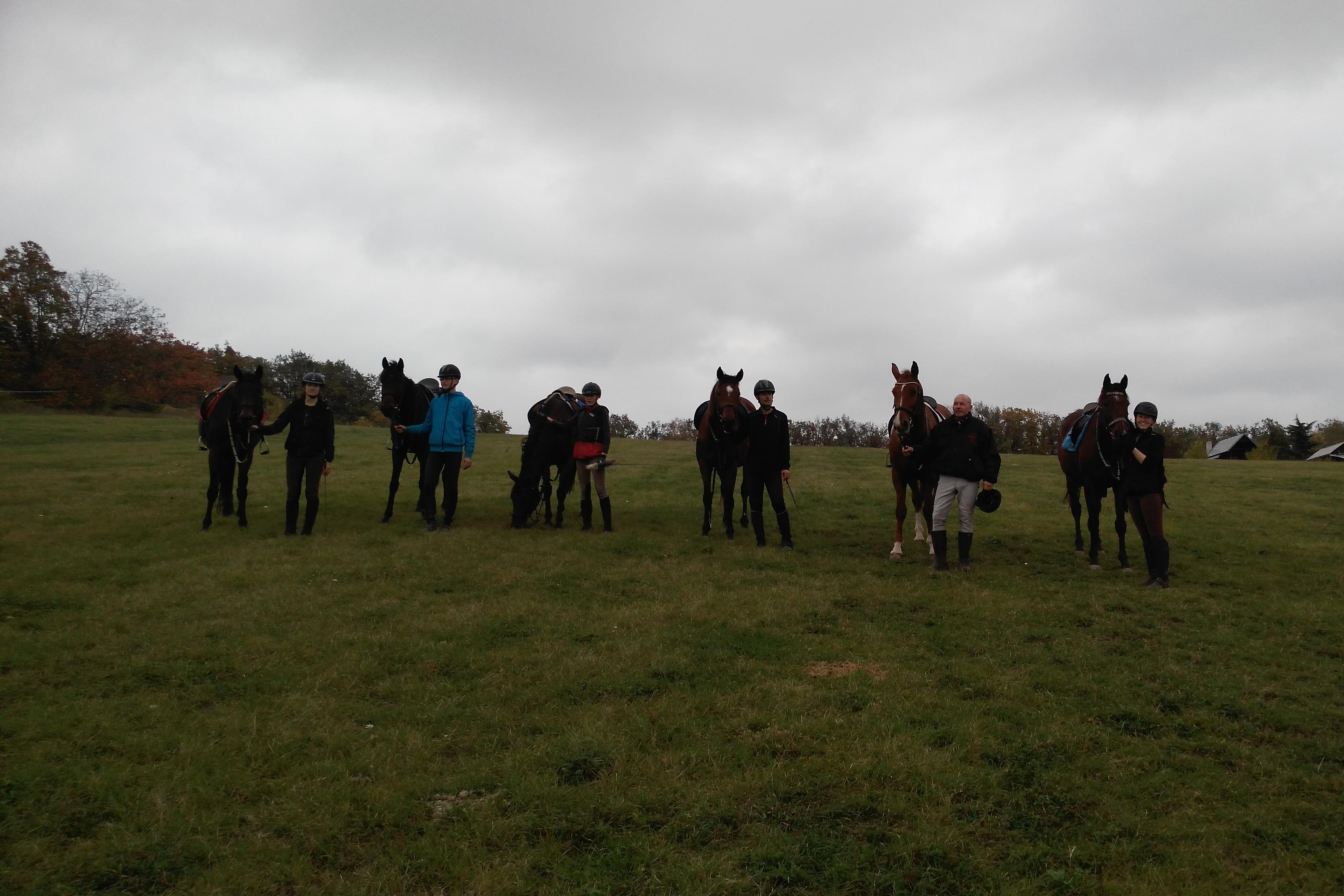 Jezdecká stáj Koně-Brno.cz foto 1