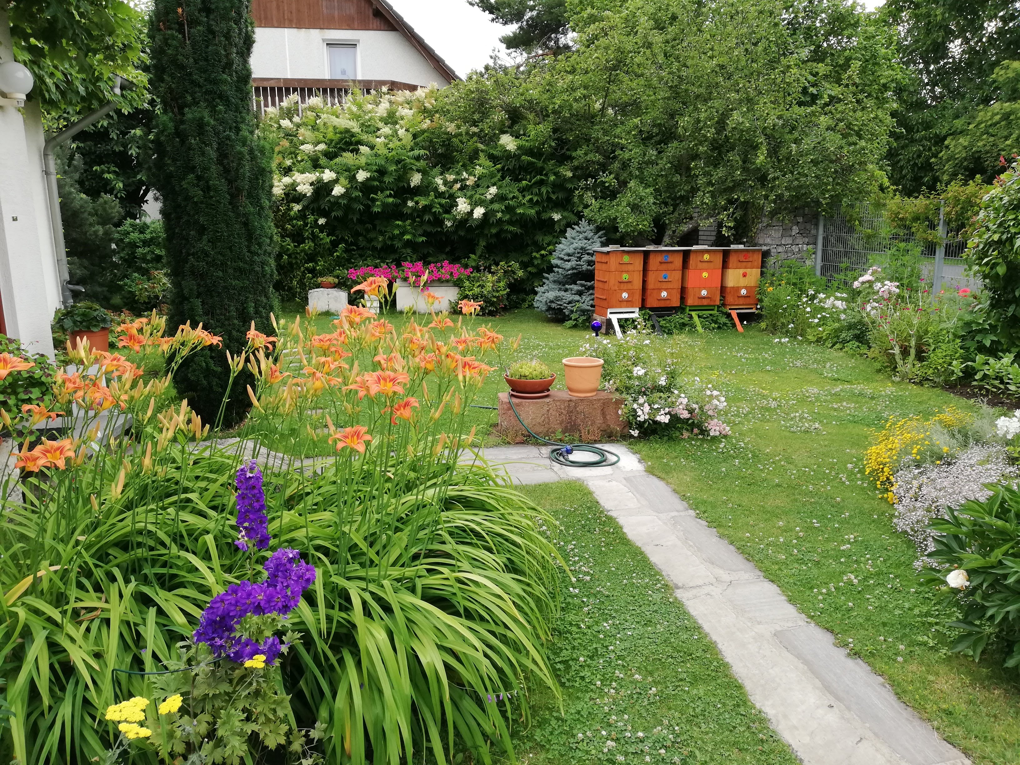 Jan Šimek - prodej medu