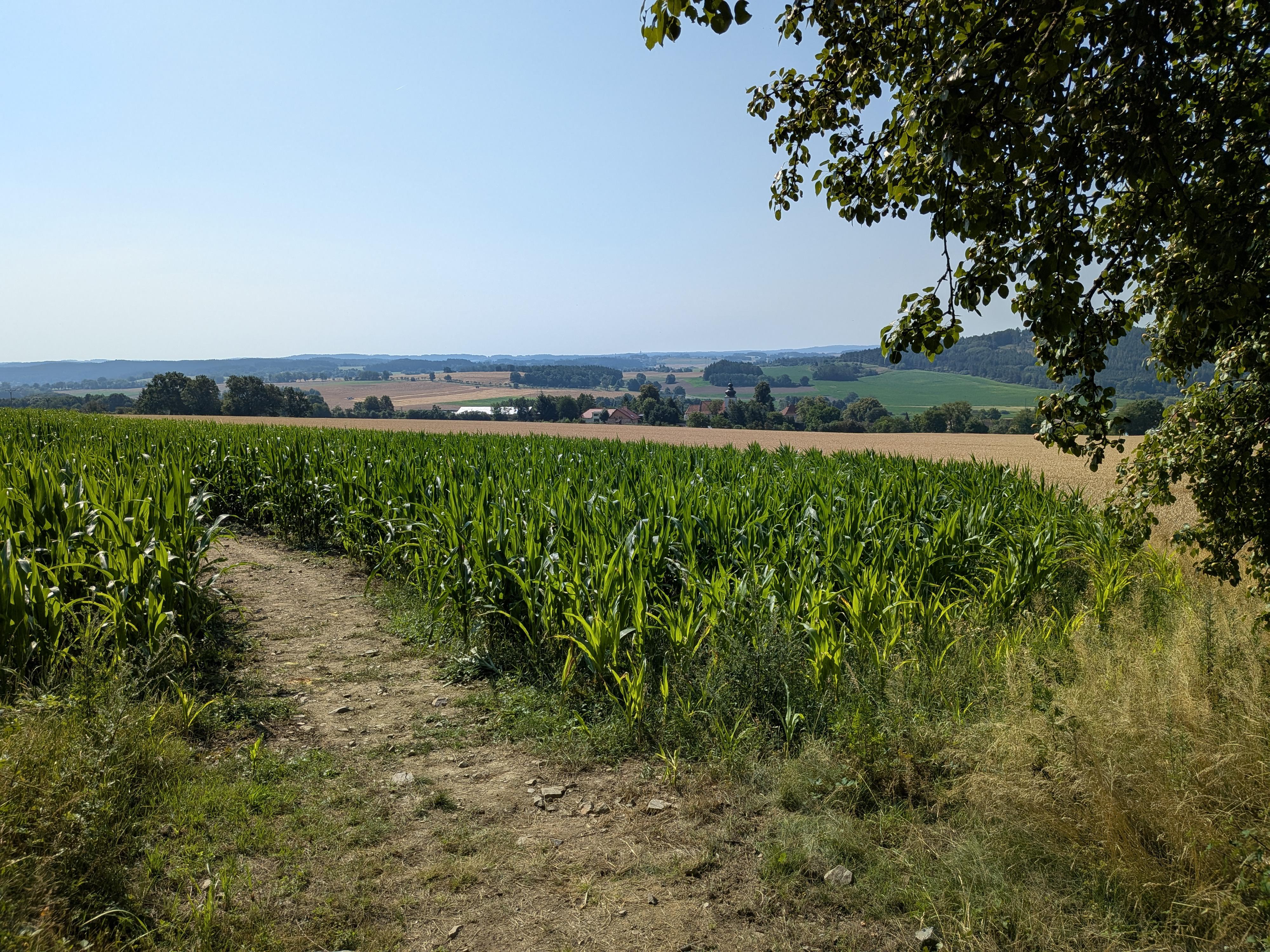 Kukuřičné bludiště Onen Svět foto 3
