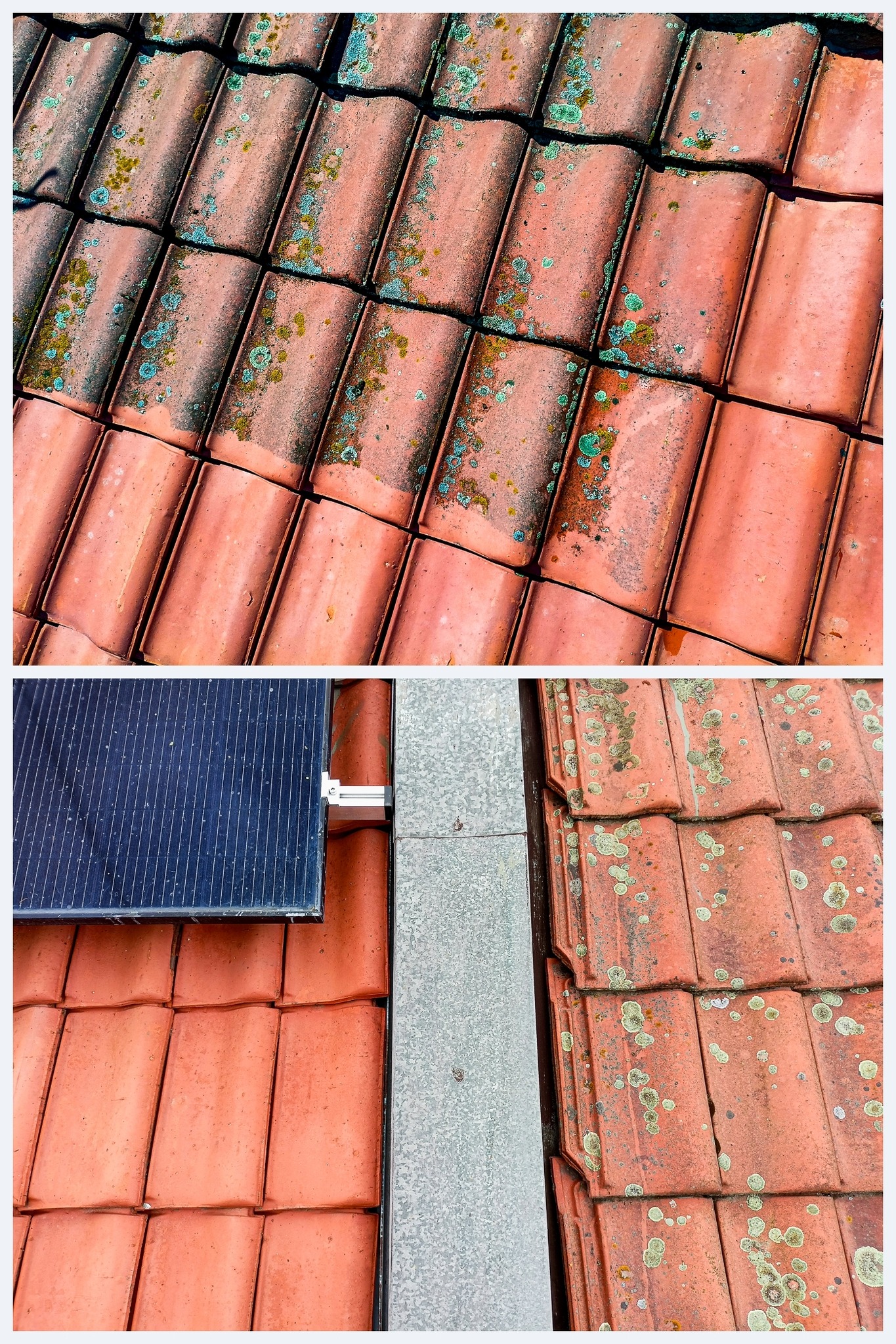 Kings Roof - čištění a nátěry střech foto 3