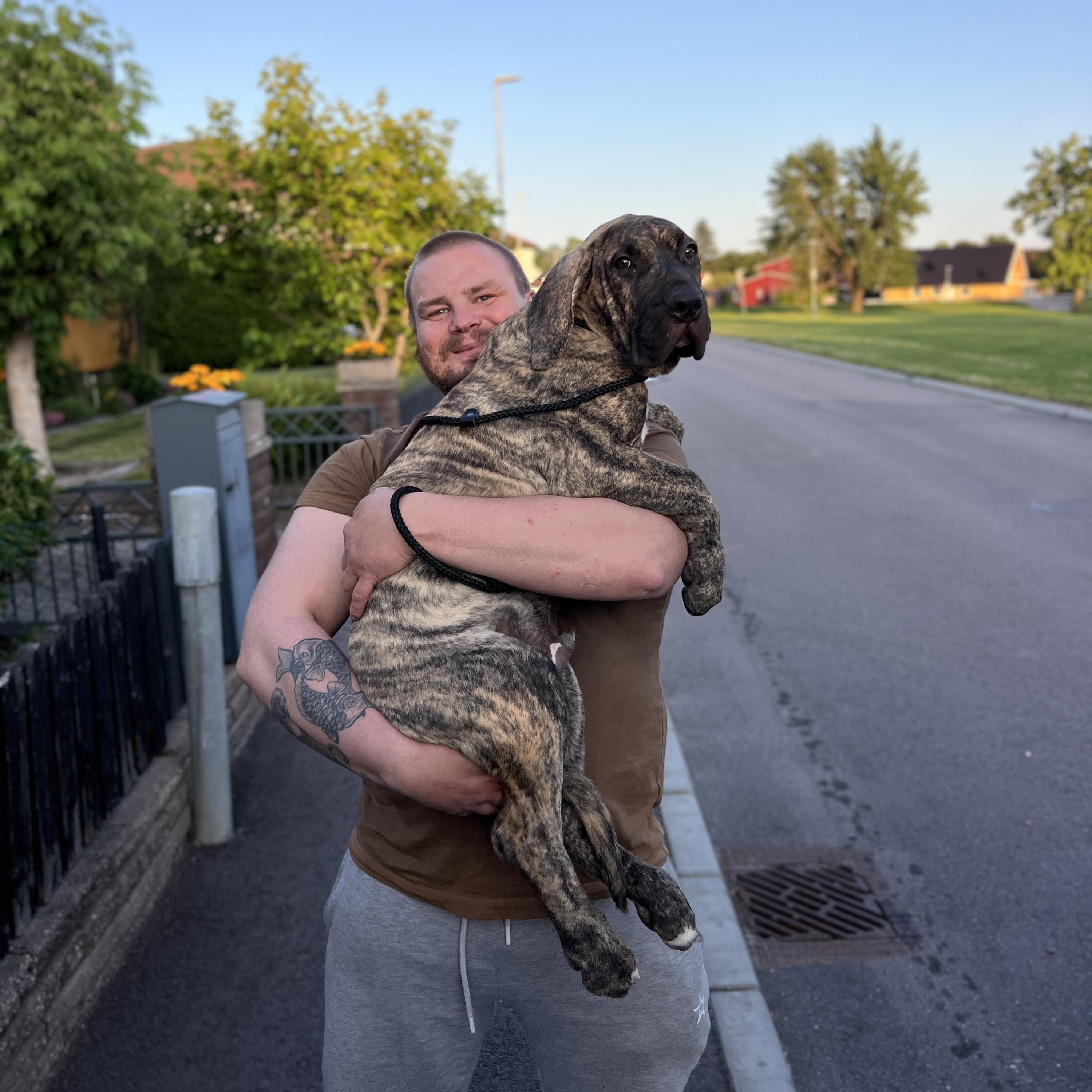 Čedog Pet Transport foto 2