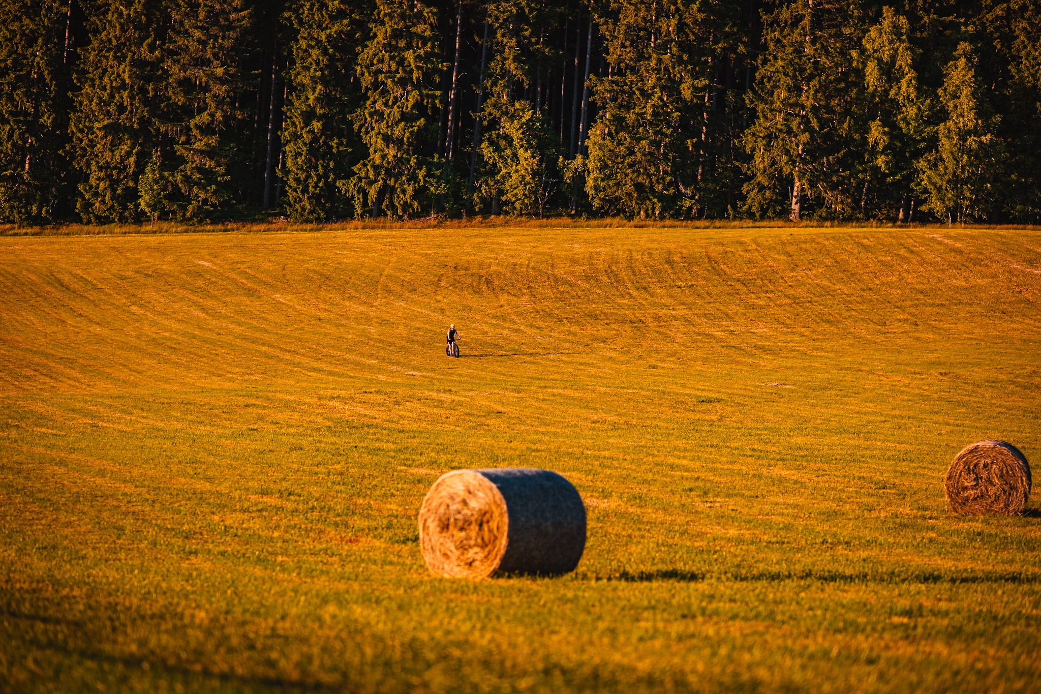Koloběžky Mountain Base foto 4