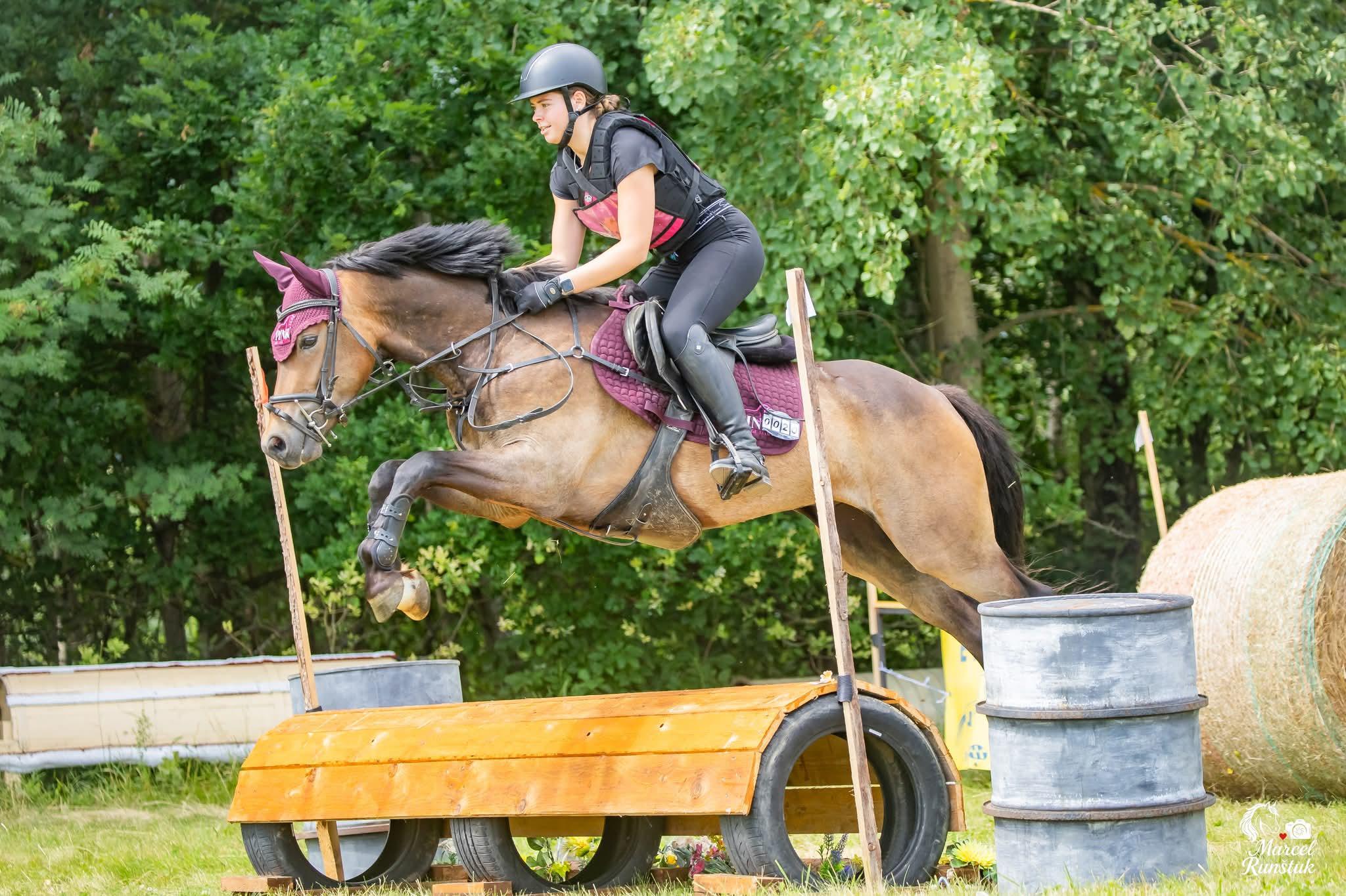 Pink Dressage Zmrzlík foto 5