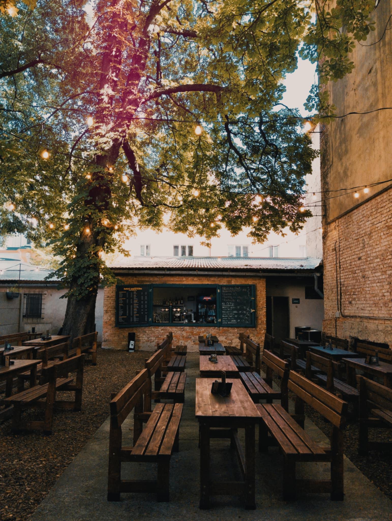 Letní zahrada Pod Kaštany foto 2