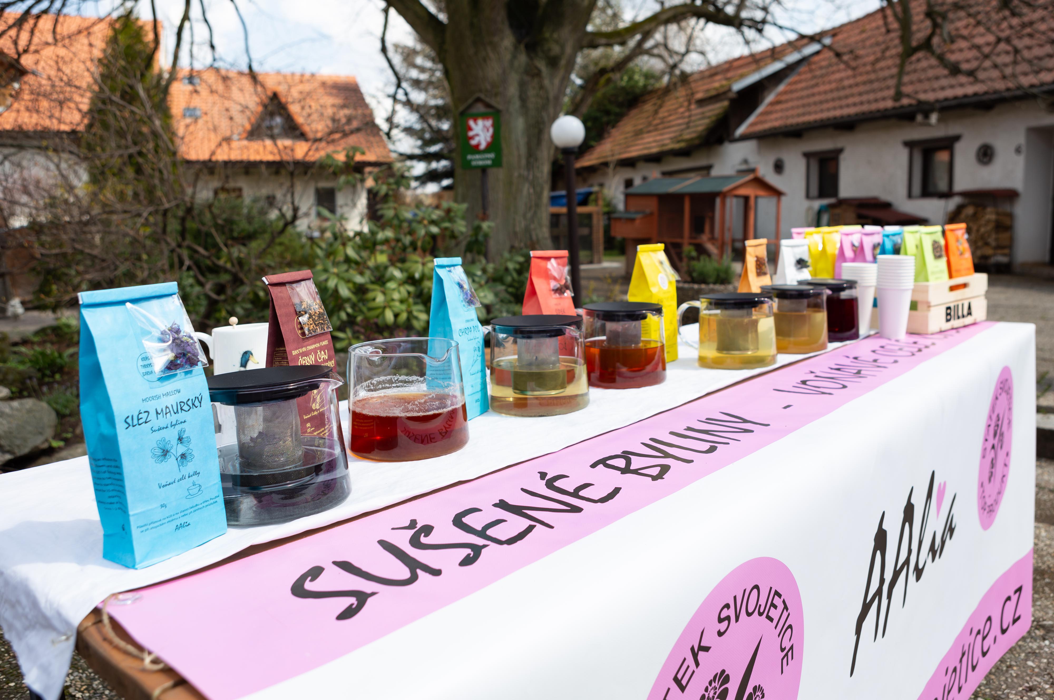 Statek Svojetice foto 2