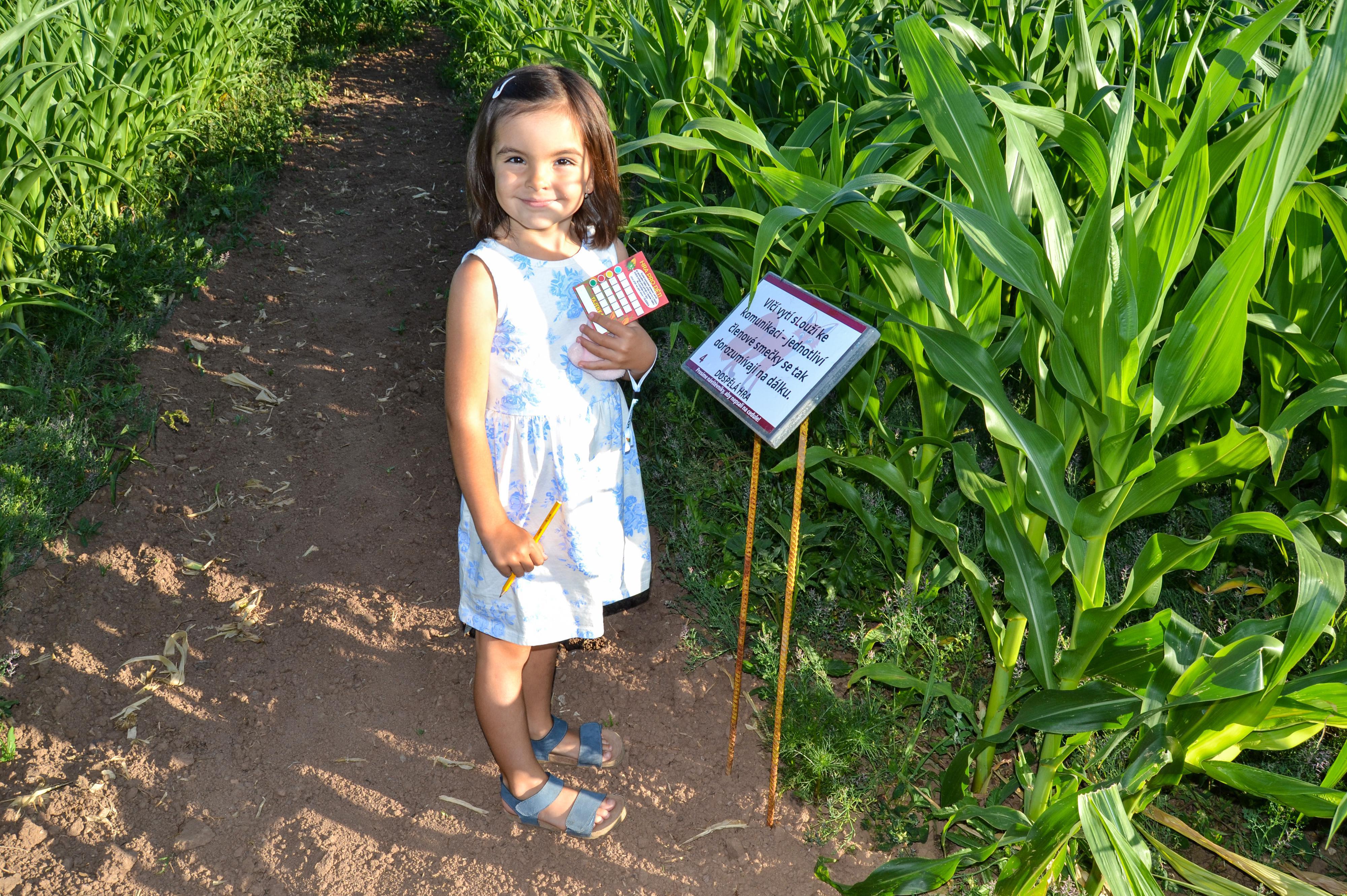 Kukuřičáci – Obří kukuřičné bludiště Praha - Klecany