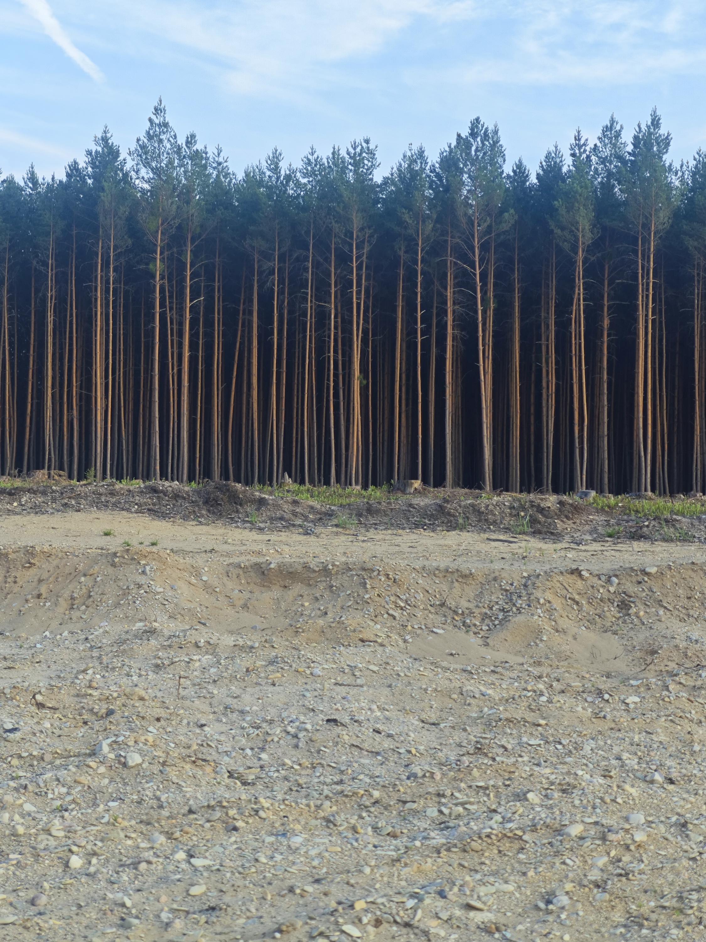 Pískovna Marokánka - České štěrkopísky spol. s r.o. foto 4