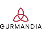 Cibule Bistro Pho vývar 1L v obchodě Gurmandia.cz