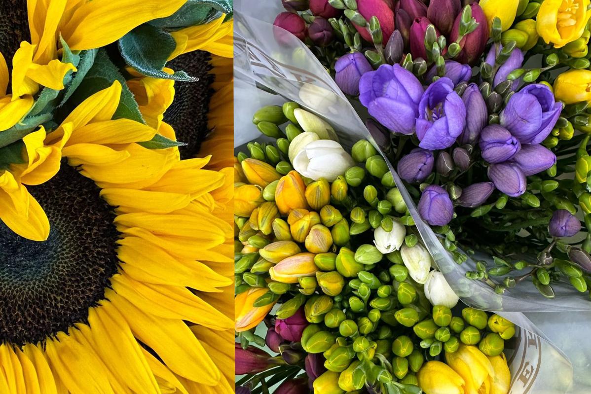 Čerstvé řezané květiny