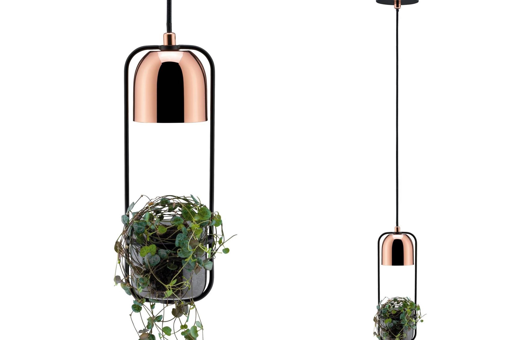 Závěsné svítidlo Fanja PAULMANN