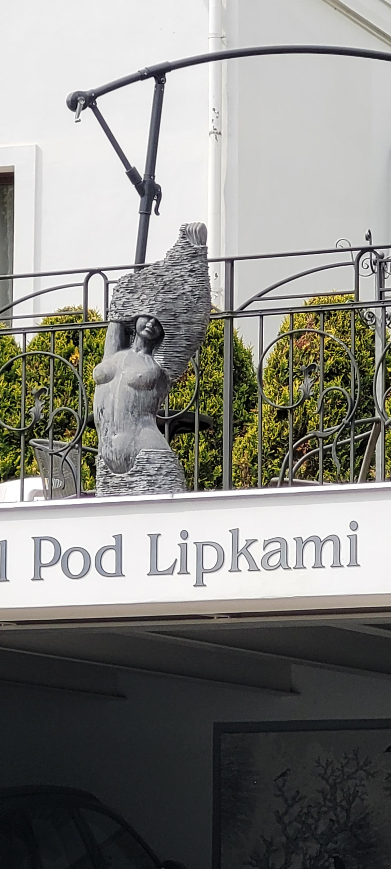 Wellness & SPA boutique Hotel pod lipkami Praha foto 5