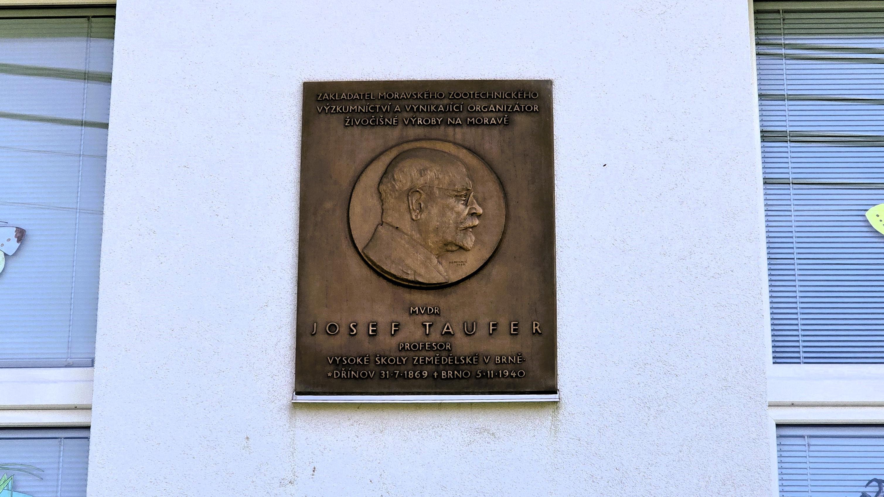 MŠ Dřínov foto 6