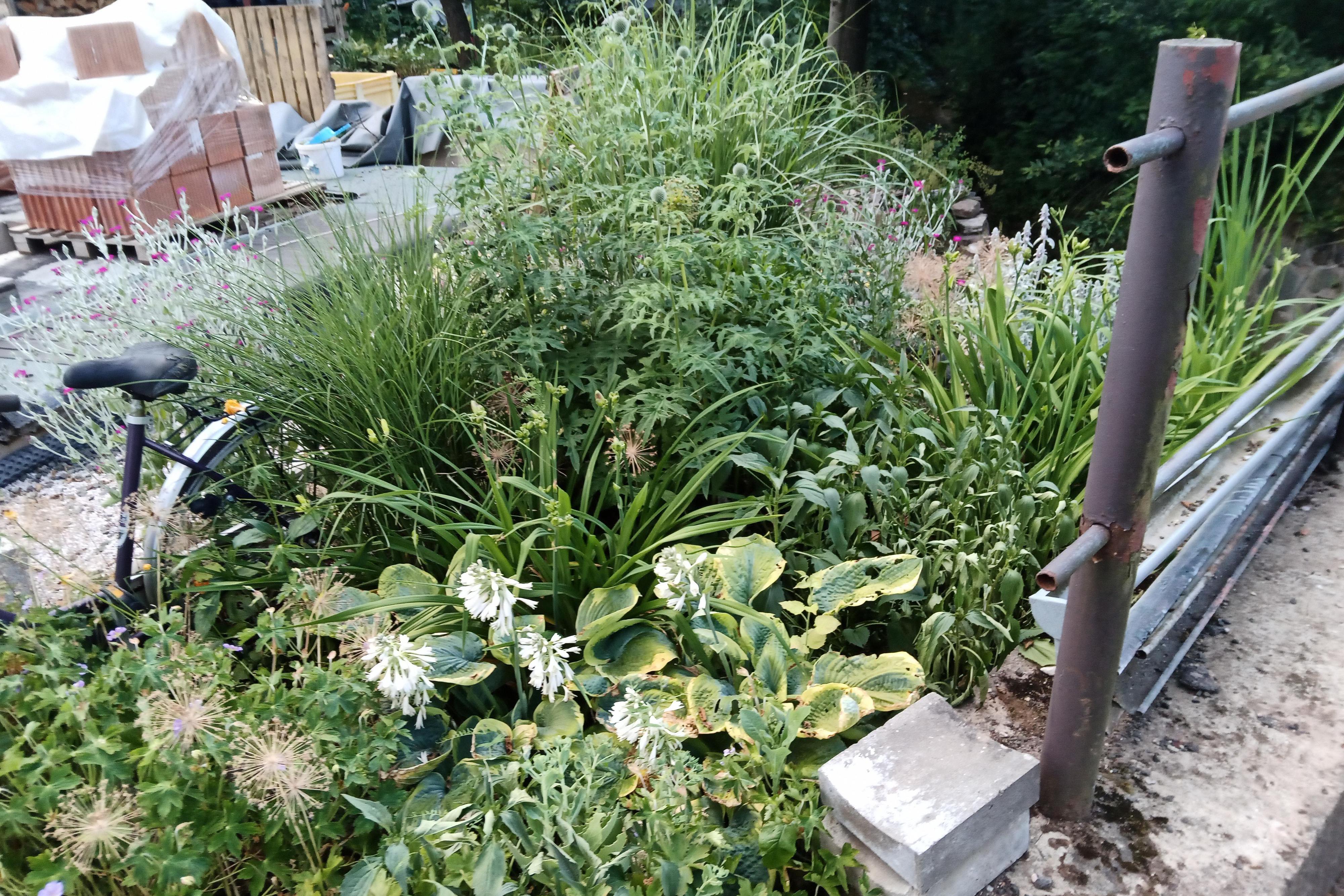 Zahradní práce Zdeněk Hanč foto 1