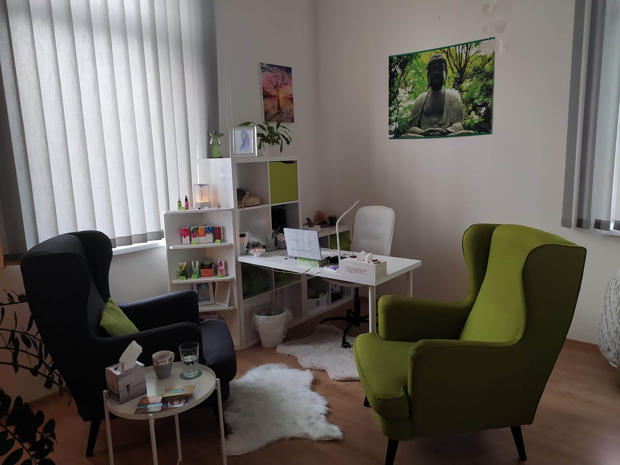 Lucie Kohutová - terapie LUX foto 2