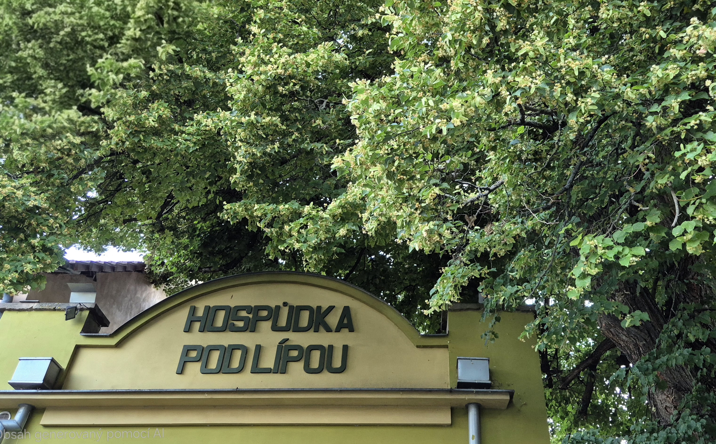Hospůdka Pod Lípou foto 6