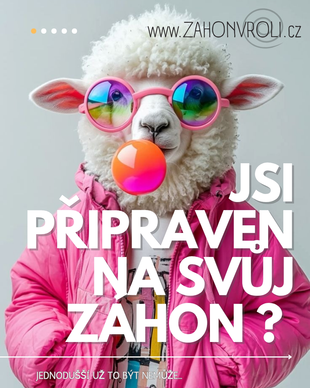 Záhon v roli foto 2