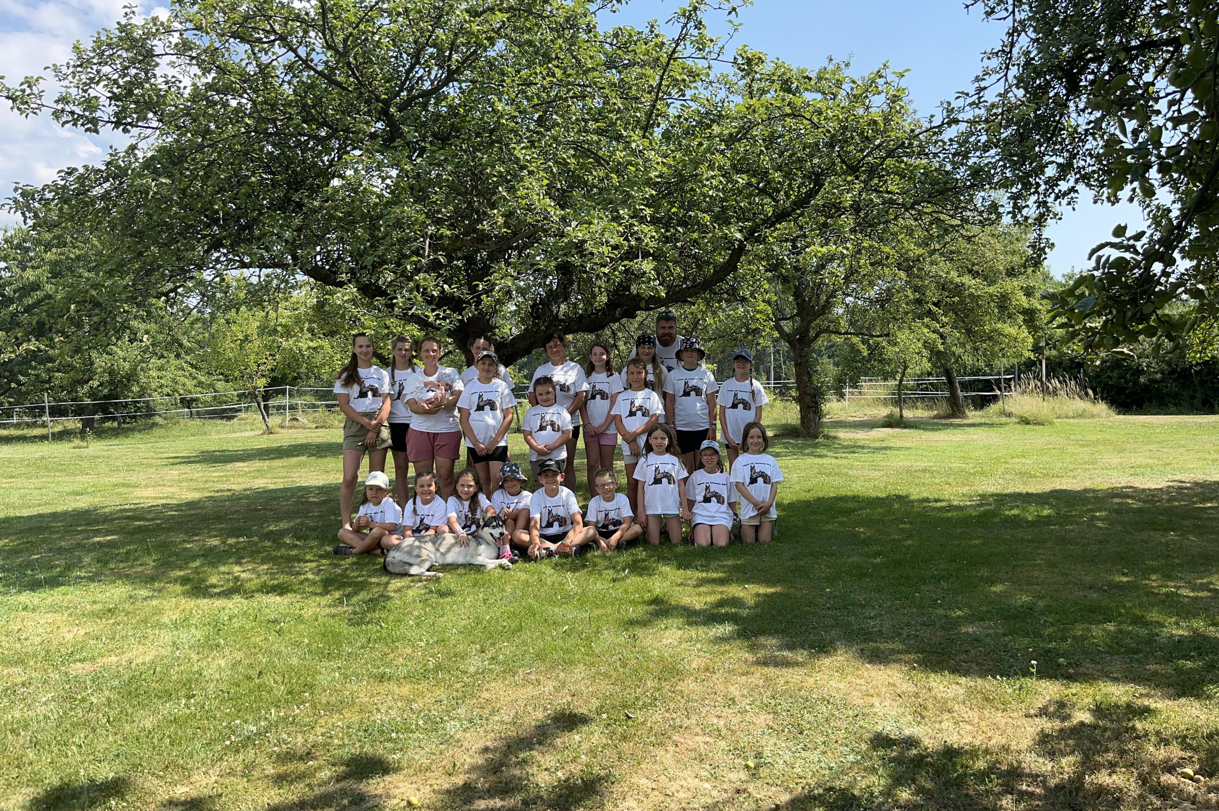 Jezdecká stáj Telemarque Švihov foto 1