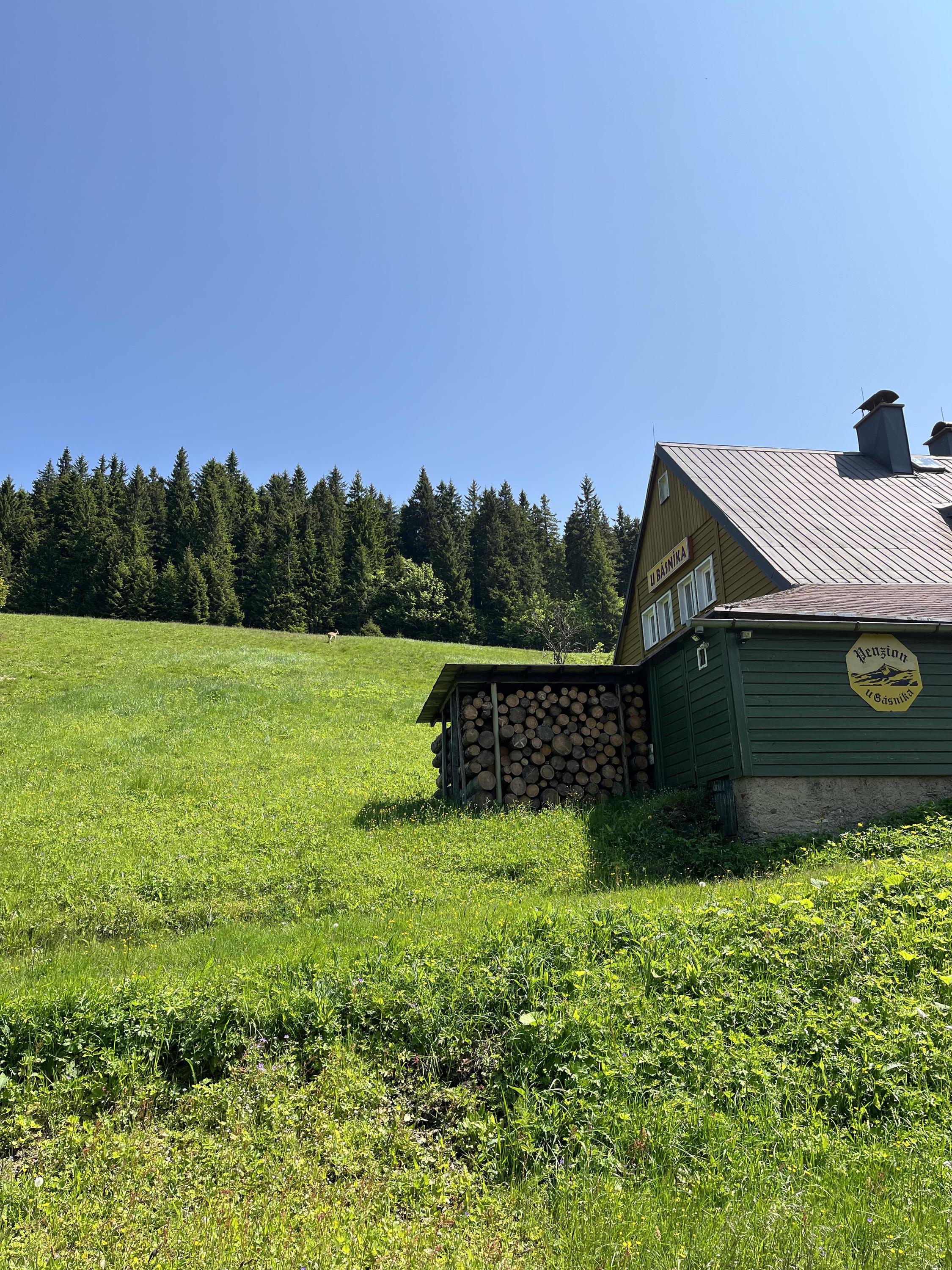 Penzion U BÁSNÍKA foto 2