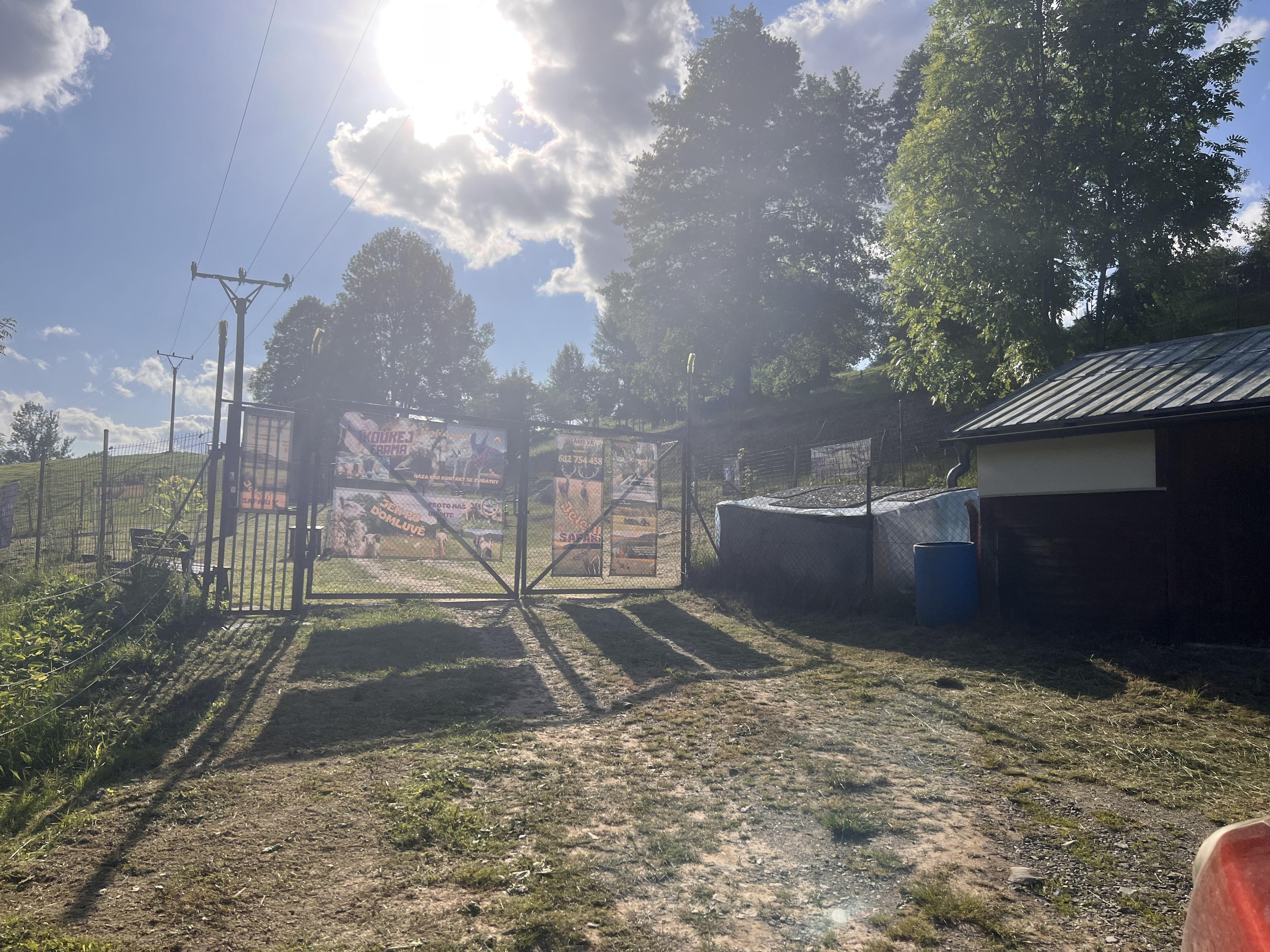 Jelení safari - Koukej farma foto 2