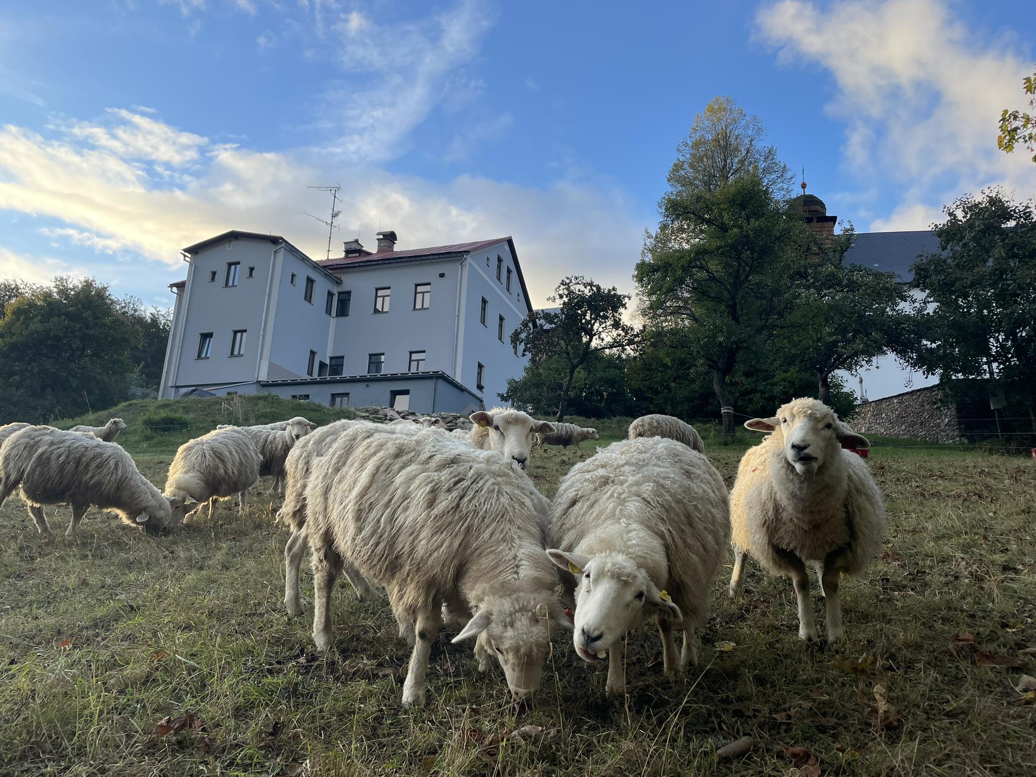 Turistická ubytovna Paseky foto 3
