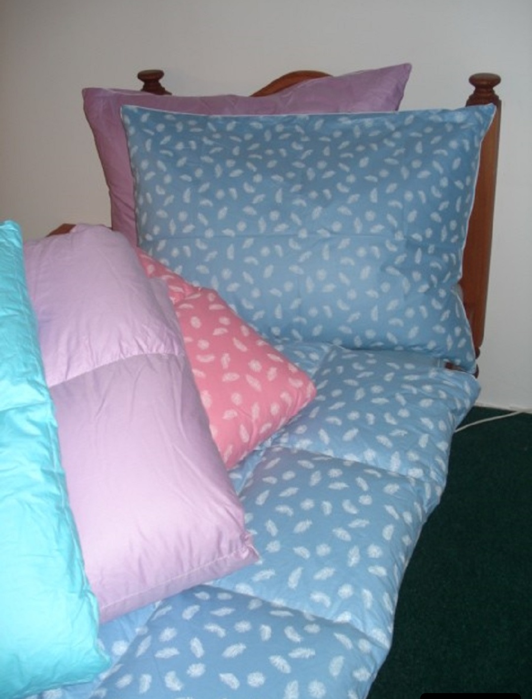 ČISTÍRNA PEŘÍ PÁROU BURDOVÁ LUCIE foto 2