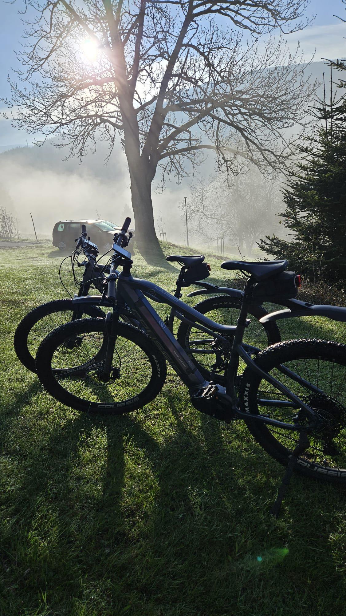 E-bikefun foto 2