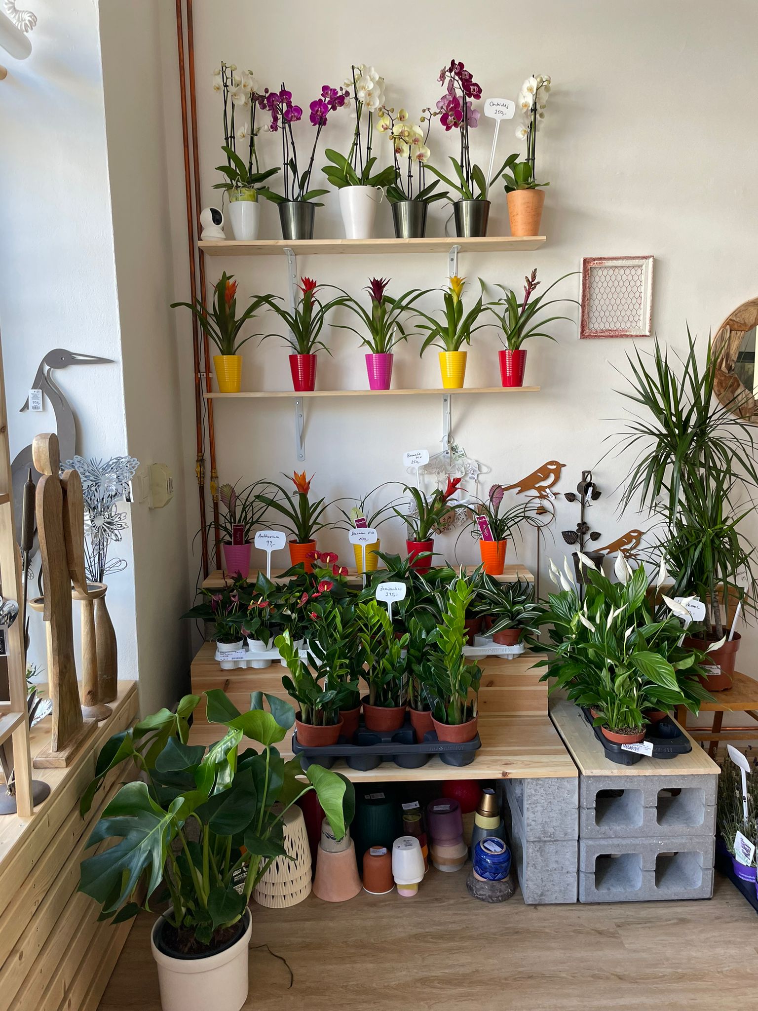 Květinářství Tulikráska foto 4