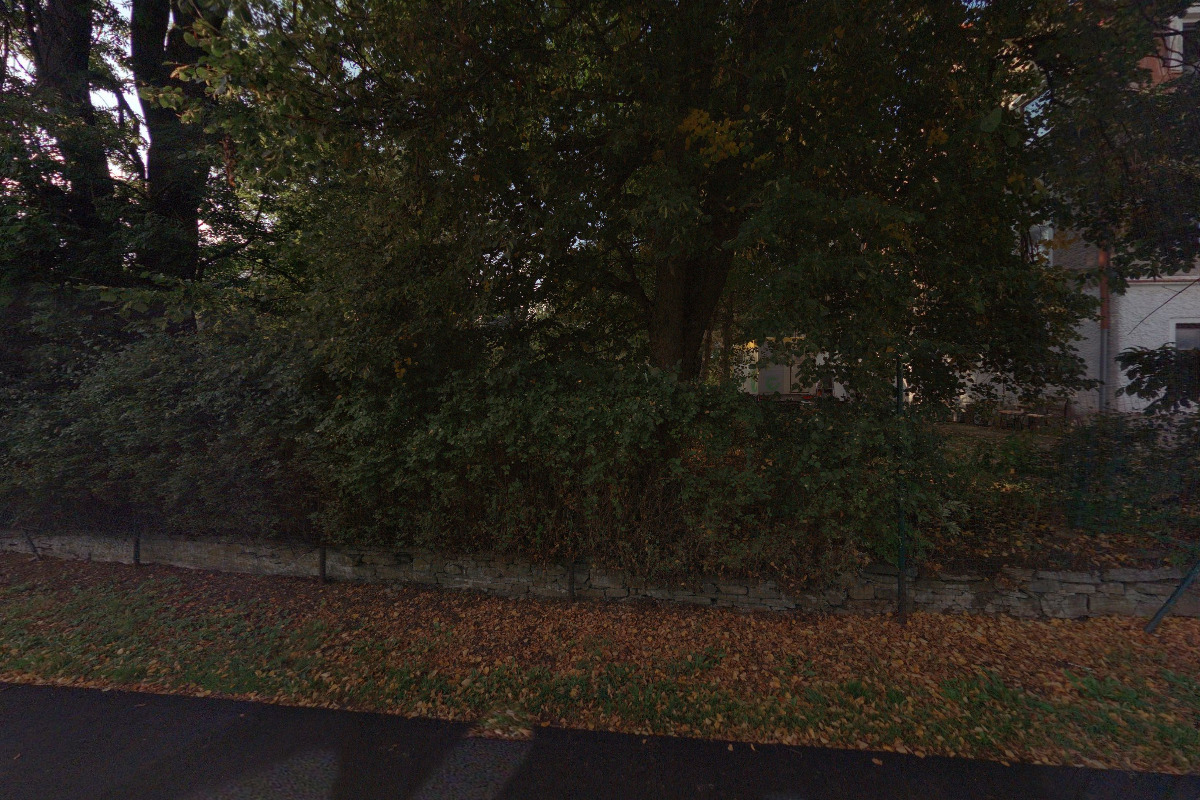 Zahradní bistro Shredhaus foto 5