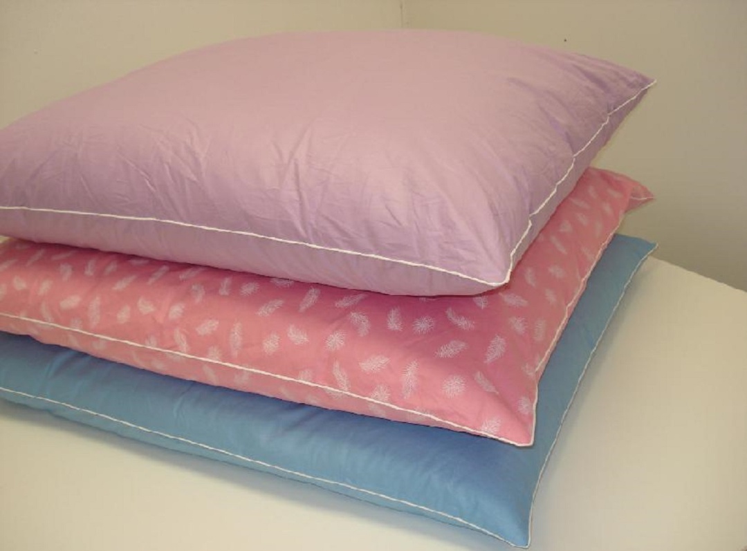 ČISTÍRNA PEŘÍ PÁROU BURDOVÁ LUCIE foto 3