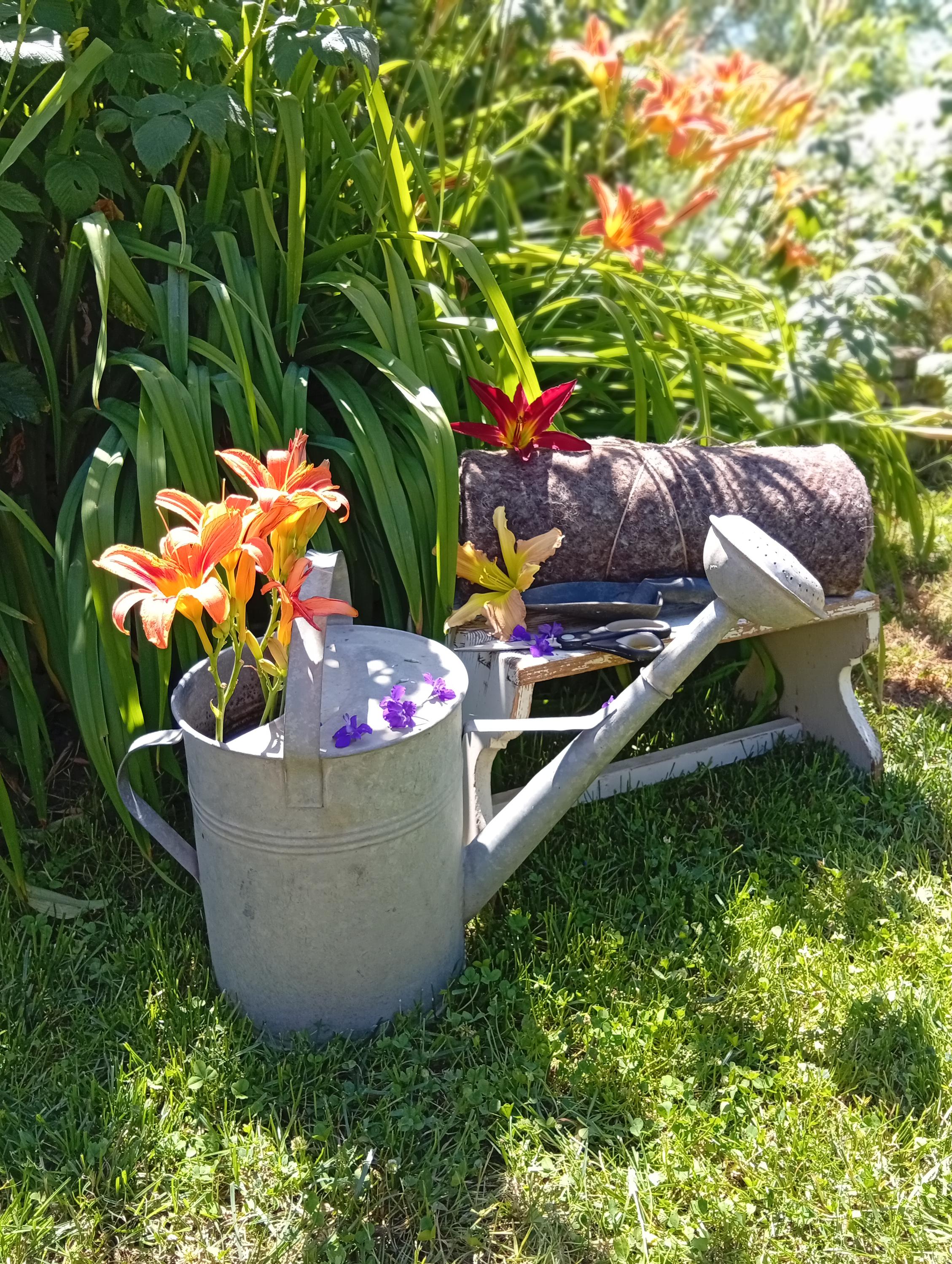 Záhon v roli foto 3