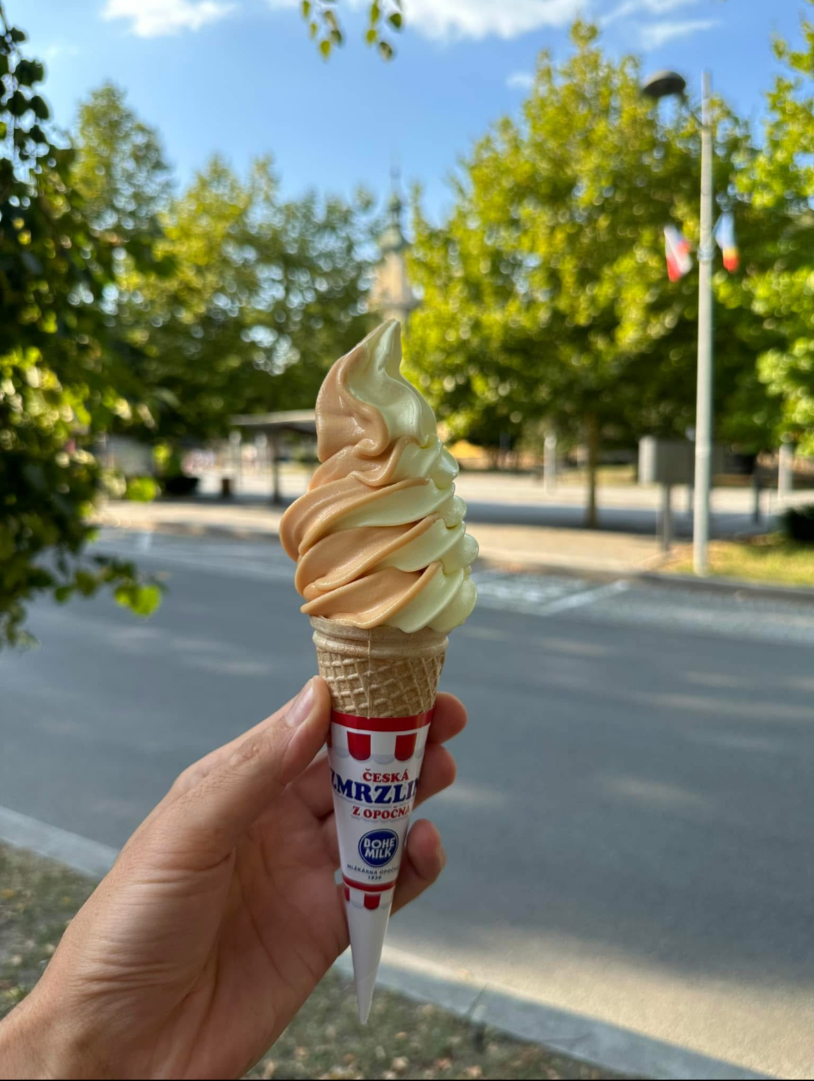 Smetanová zmrzka foto 2
