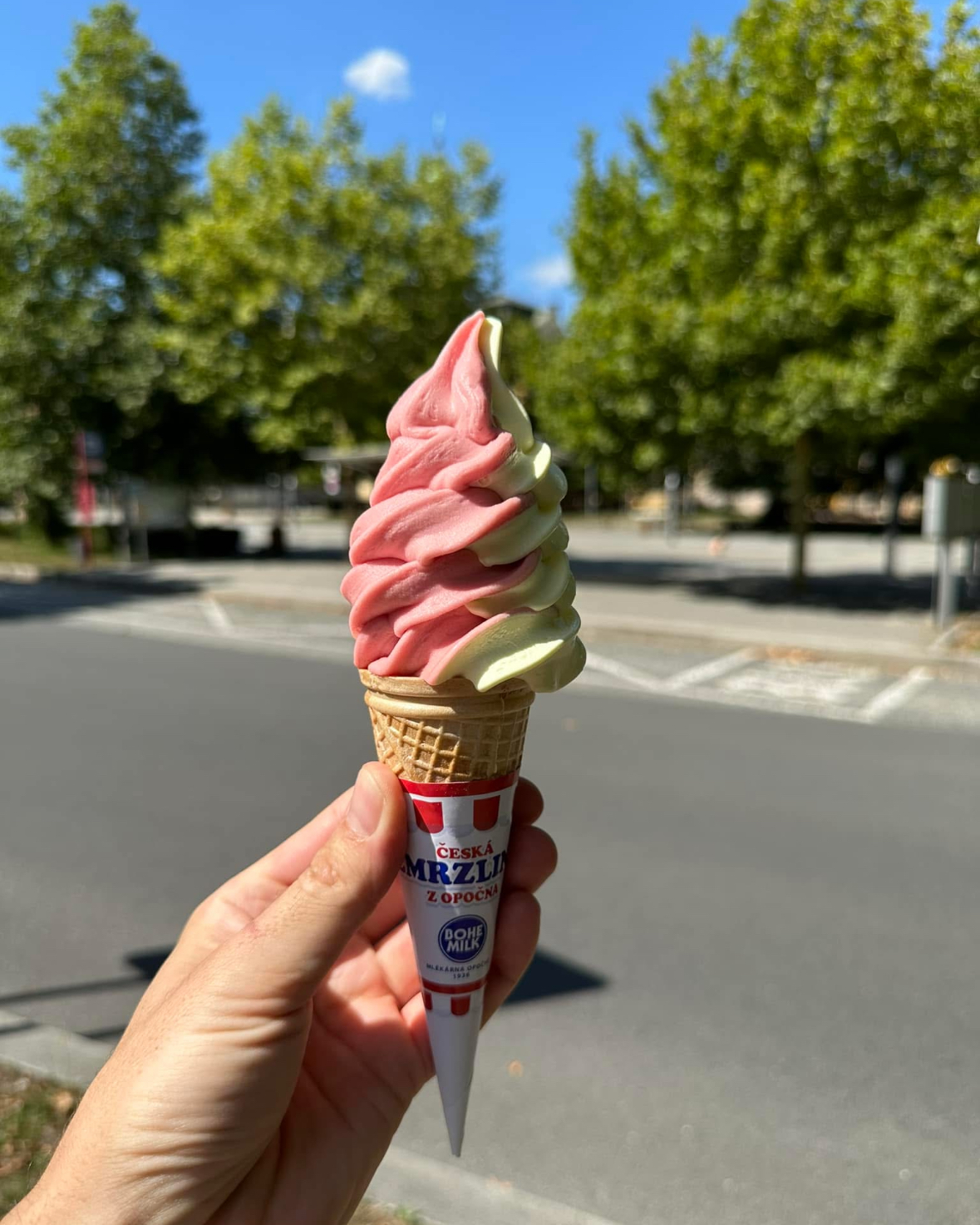 Smetanová zmrzka foto 4