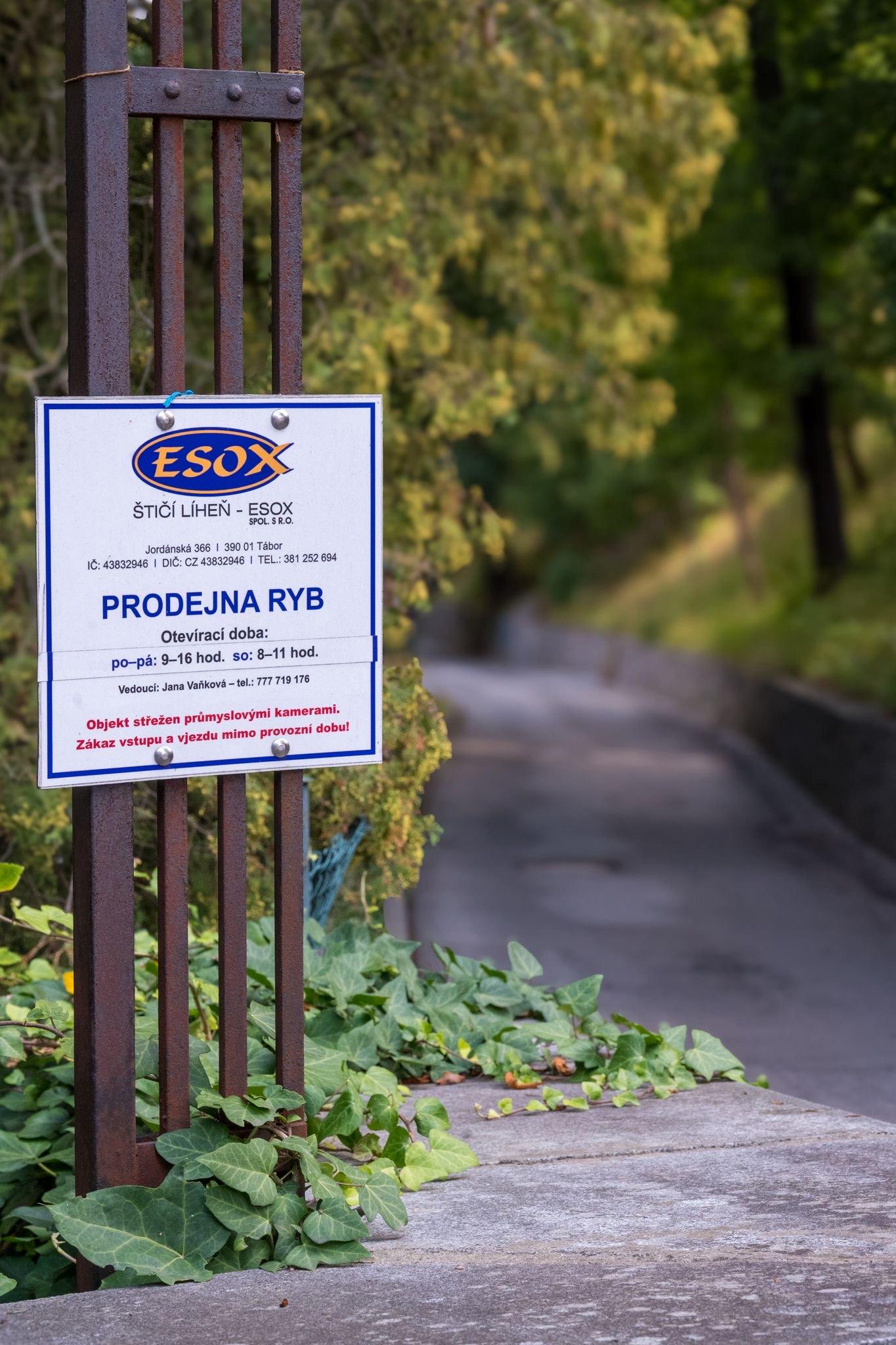 Štičí líheň - ESOX foto 6