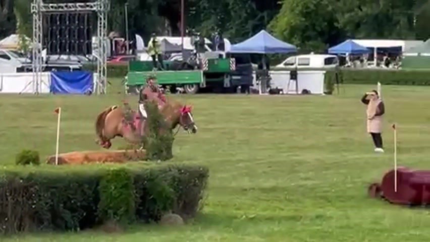 Pink Dressage Zmrzlík foto 2 (náhled videa)