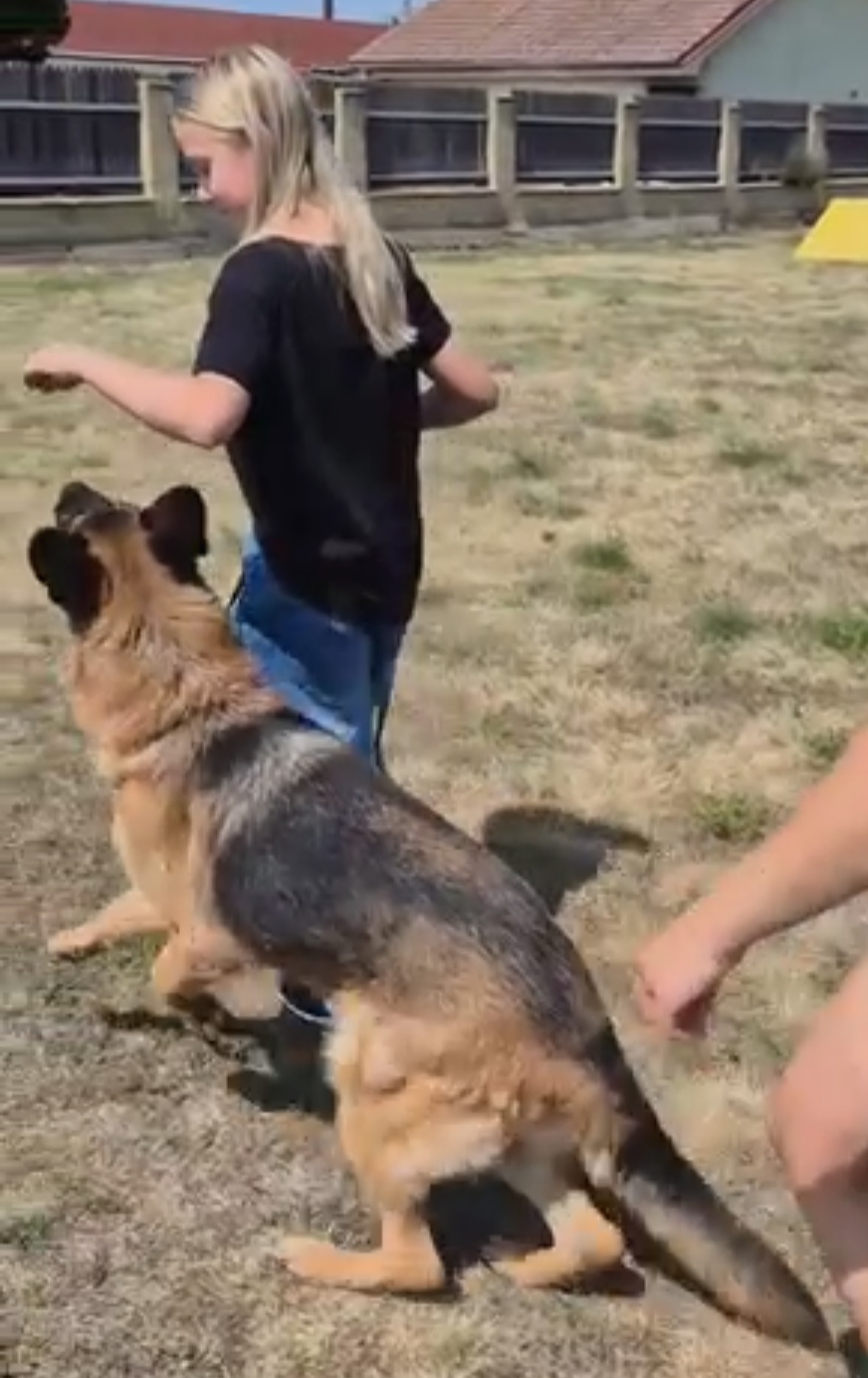 Český kynologický svaz ZKO Rousovice - 325 foto 5