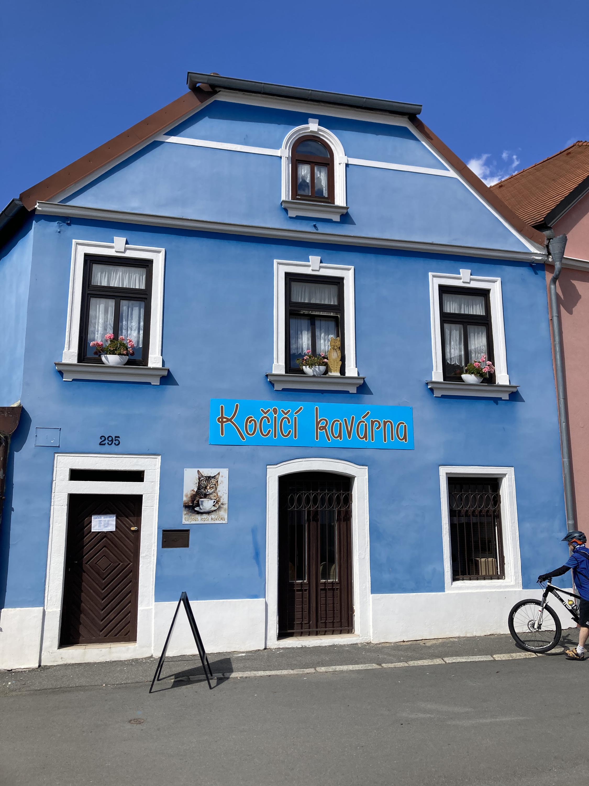 Kočičí kavárna u řeky foto 1