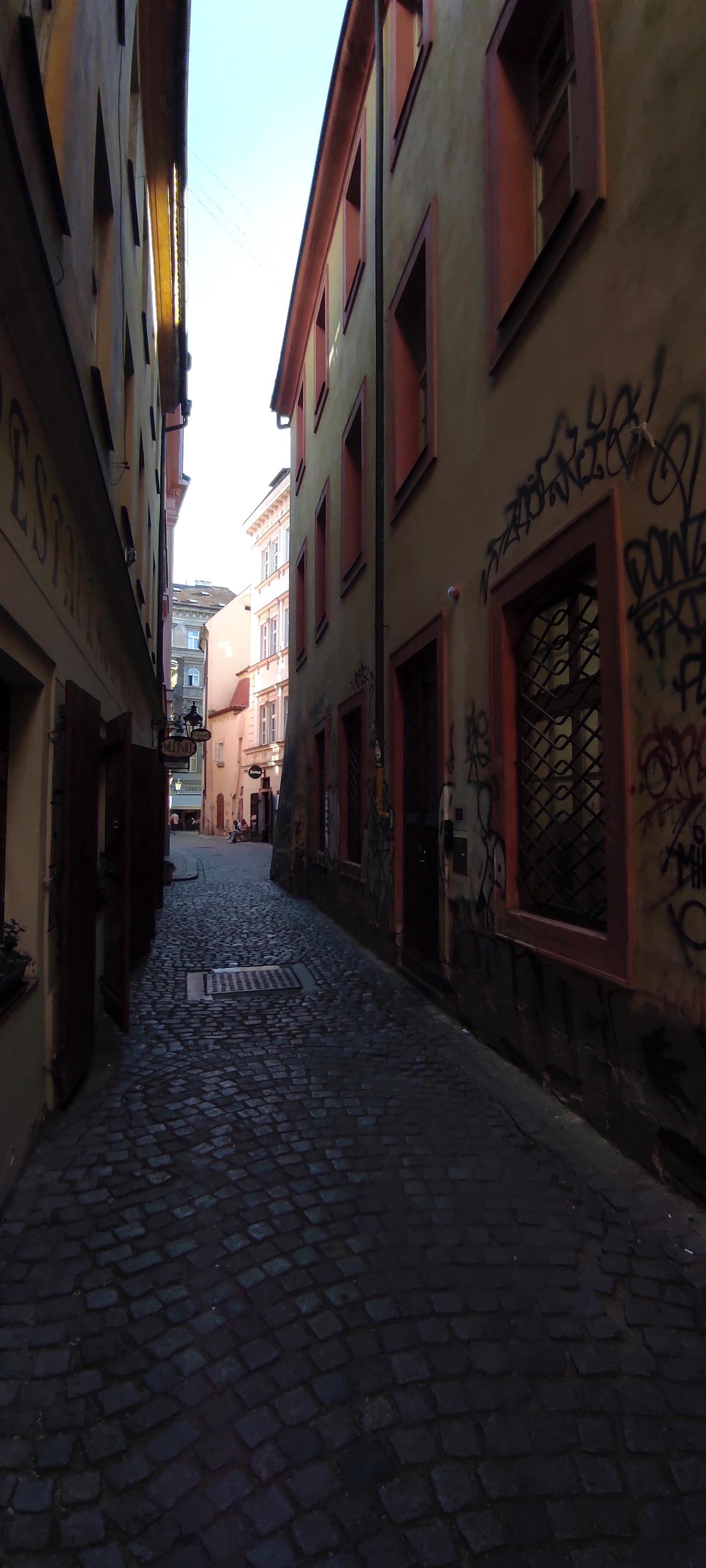 Mlejnice foto 3