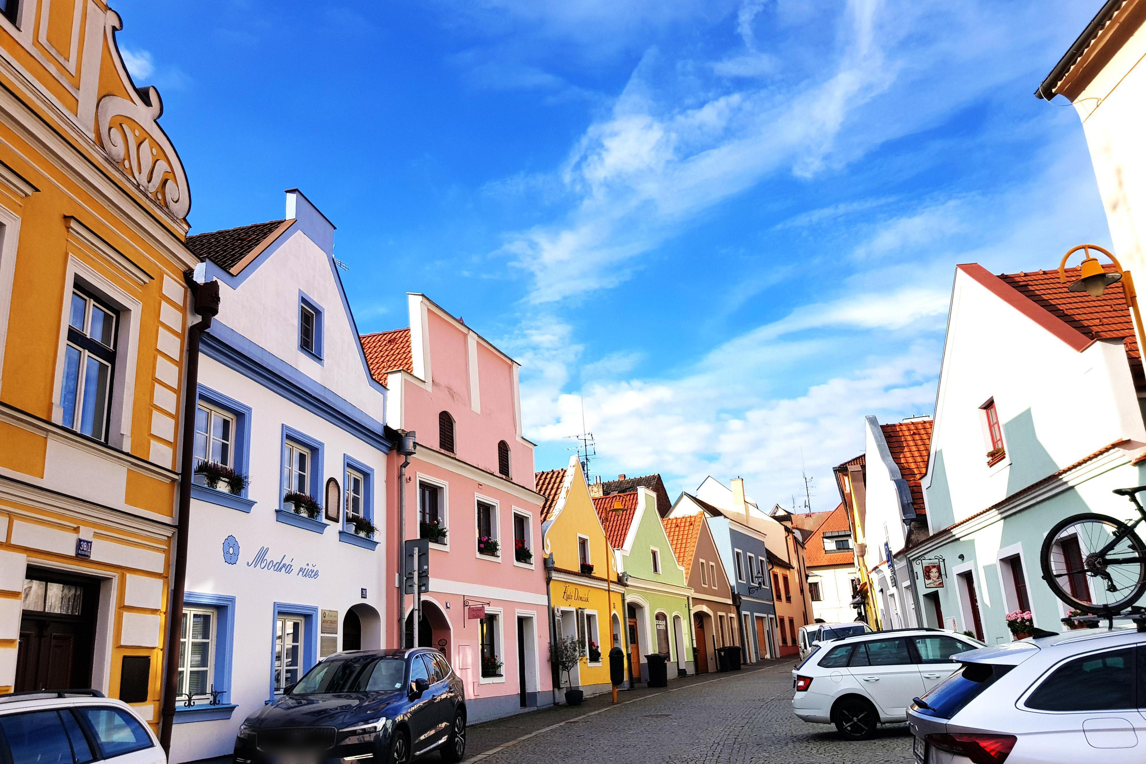 Modrá růže Třeboň