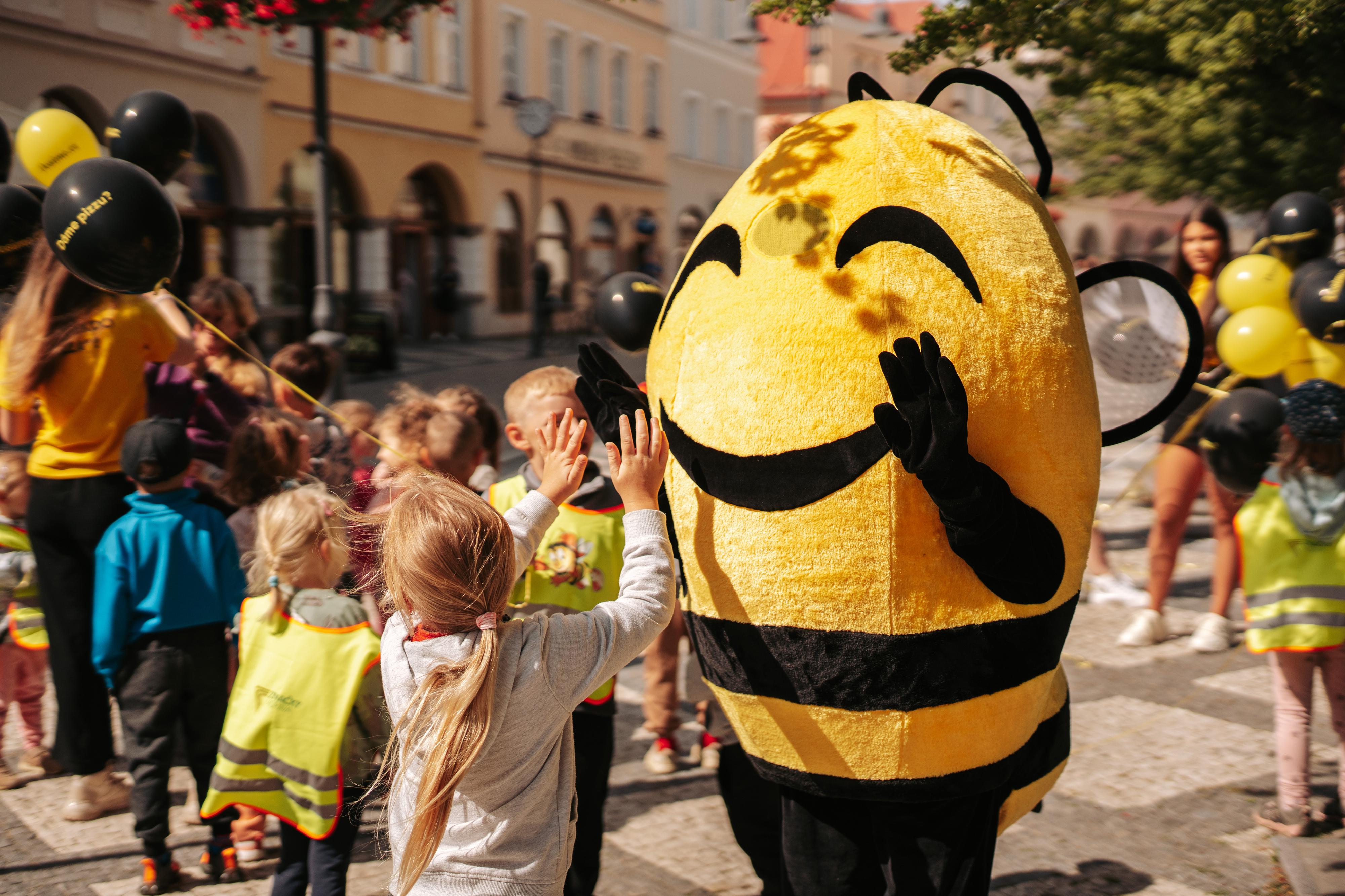 Vosime.cz Krnov foto 3