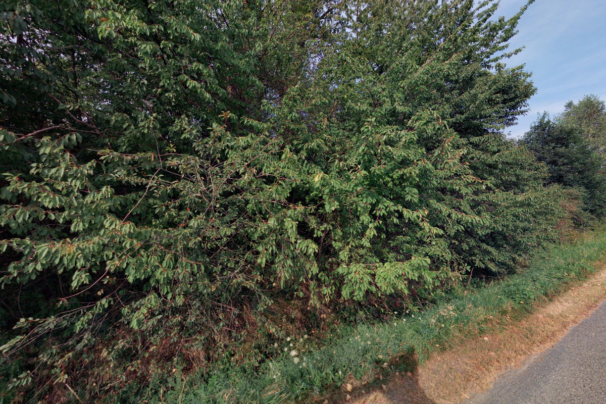 Fotbalové hřiště TJ Sokol Kladruby