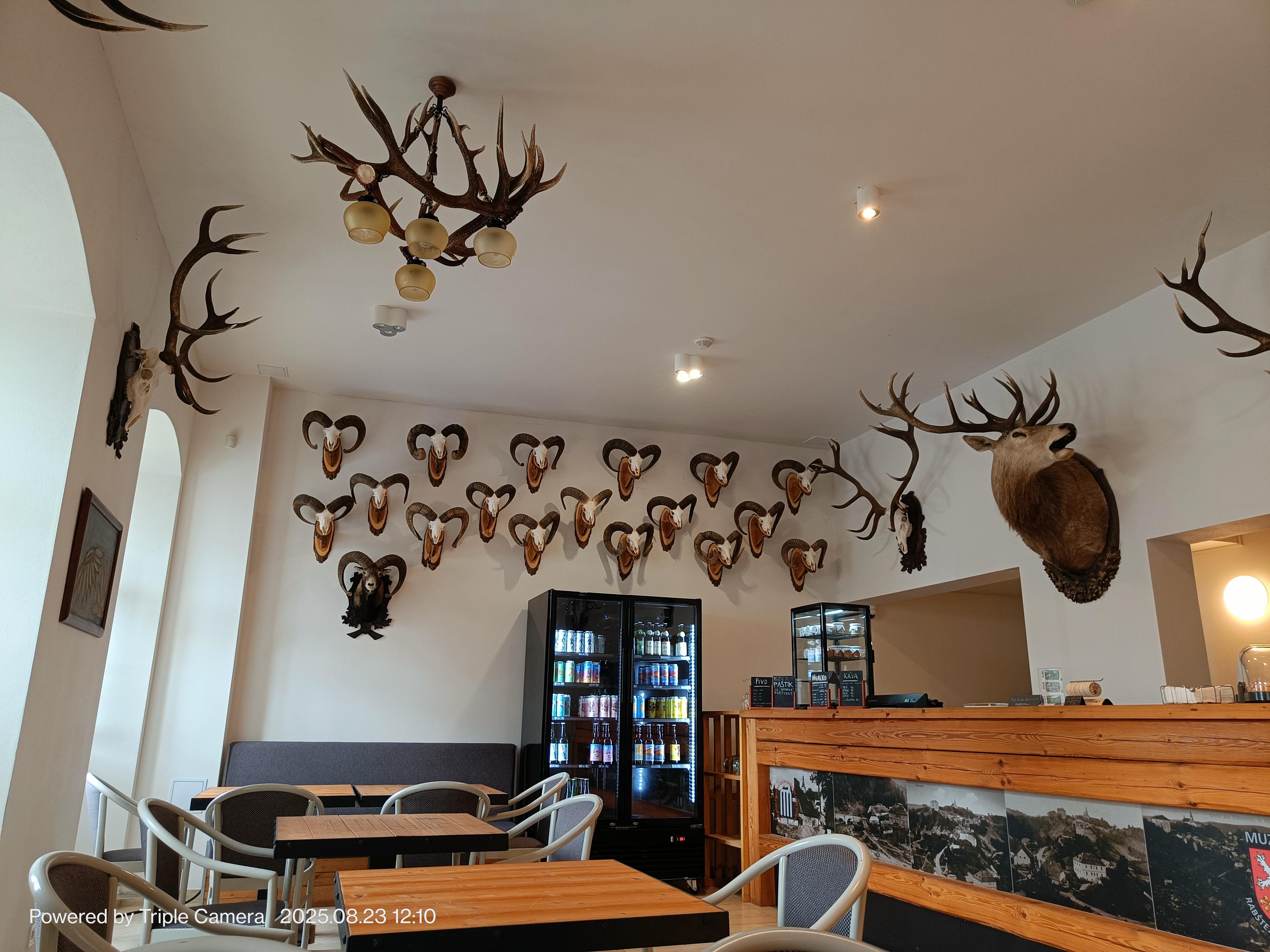 Kavárna Muzea Rabštějn foto 1
