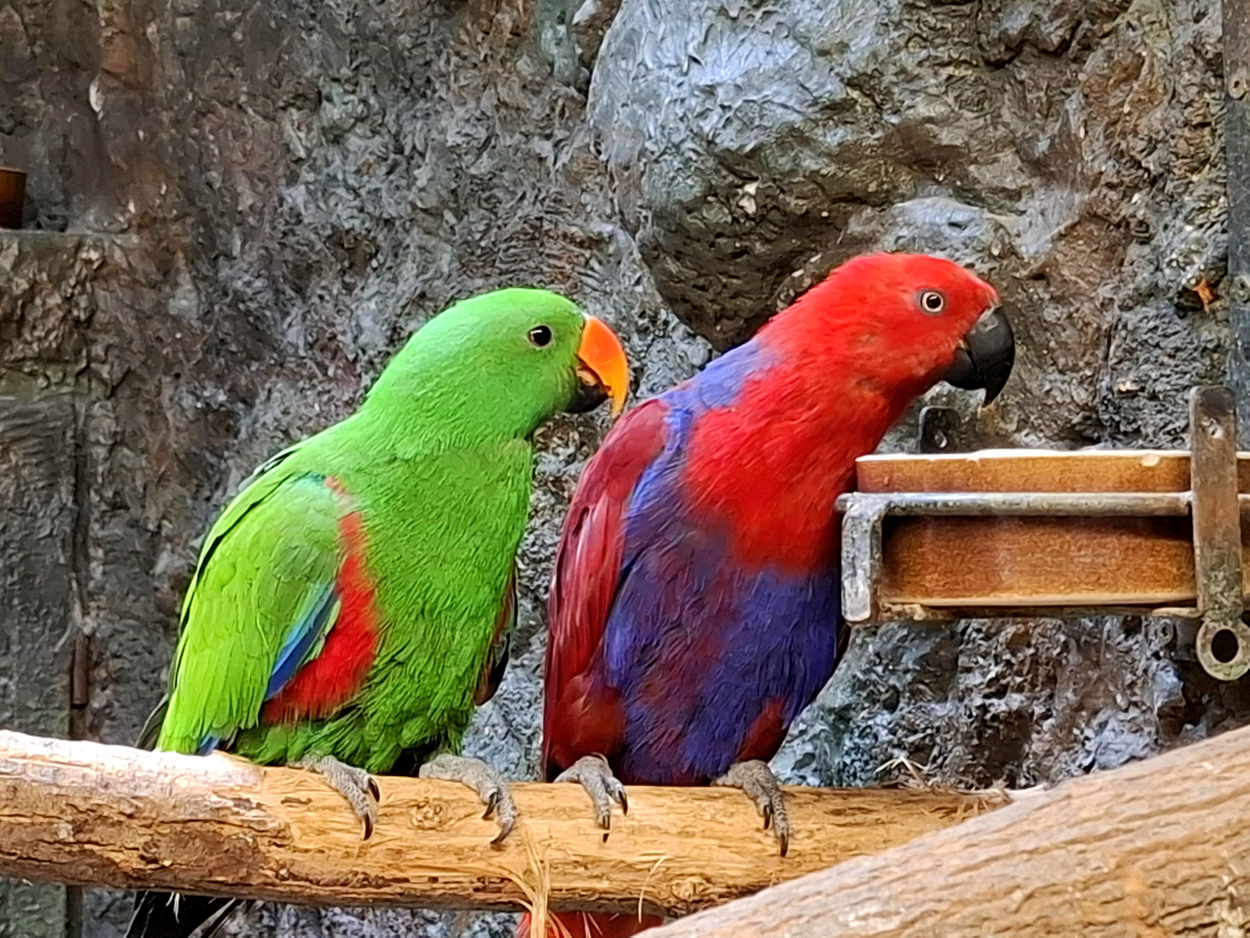 Zoologická zahrada Hodonín foto 4