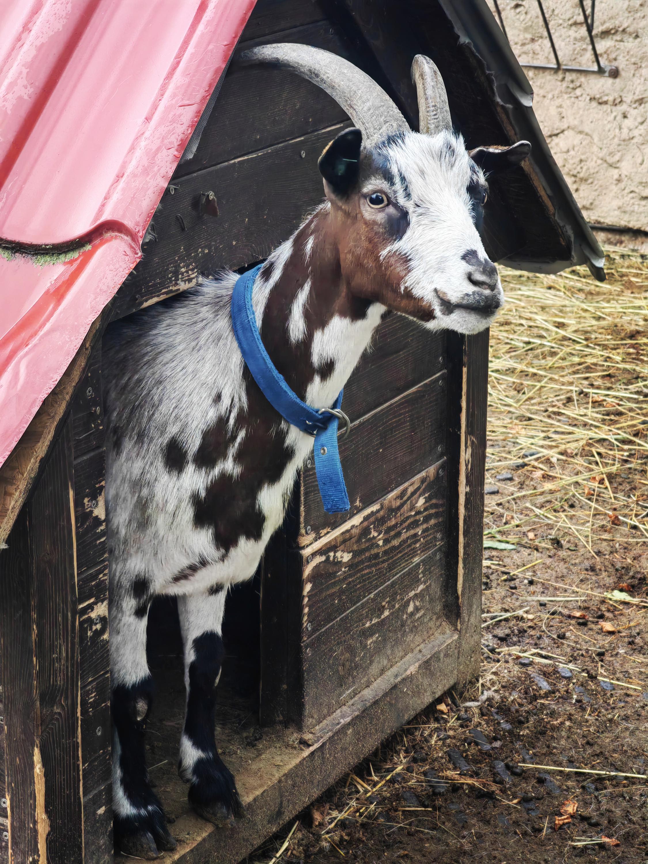 Mateřská škola, Jeníkovice foto 5