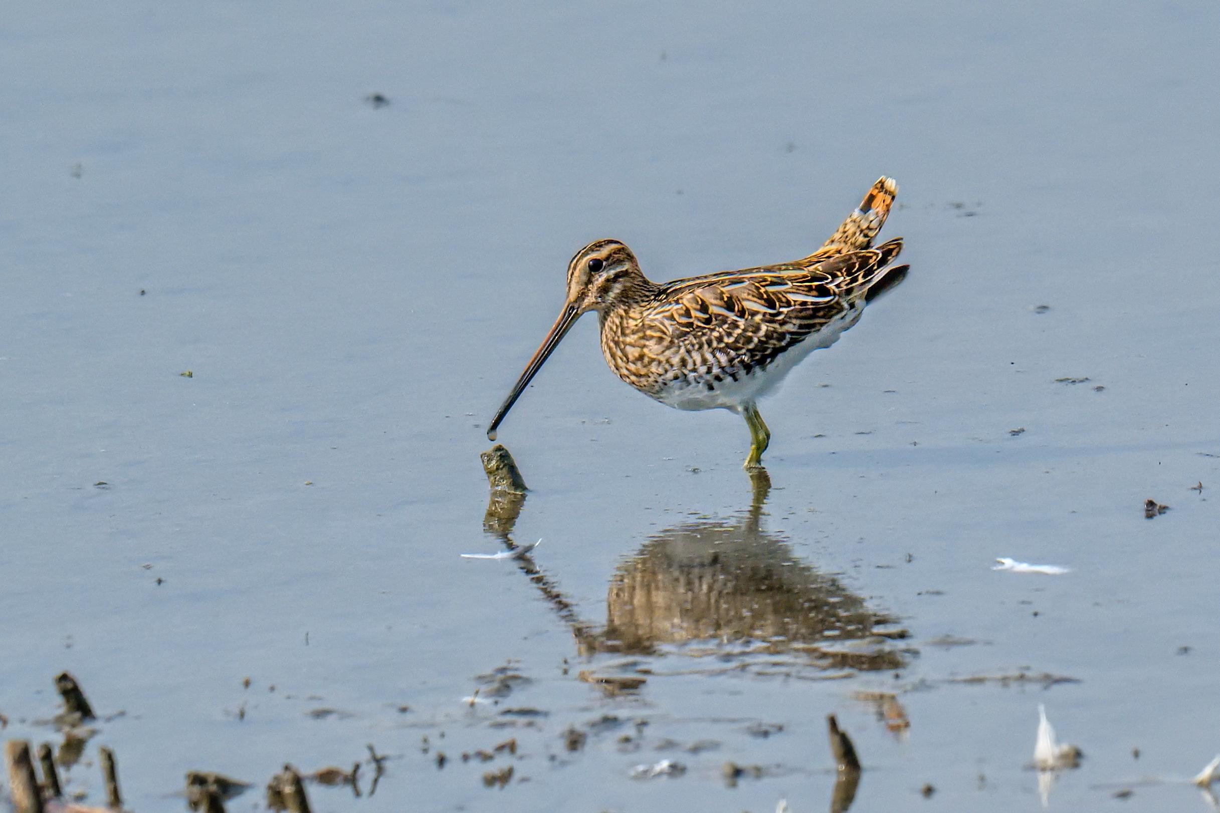 Jezero Lenešice foto 5