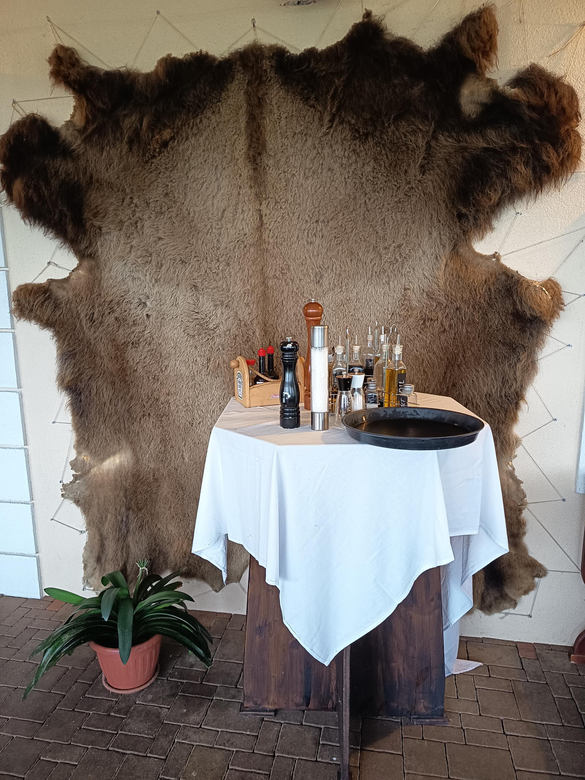 Restaurace Bison Ranch foto 4