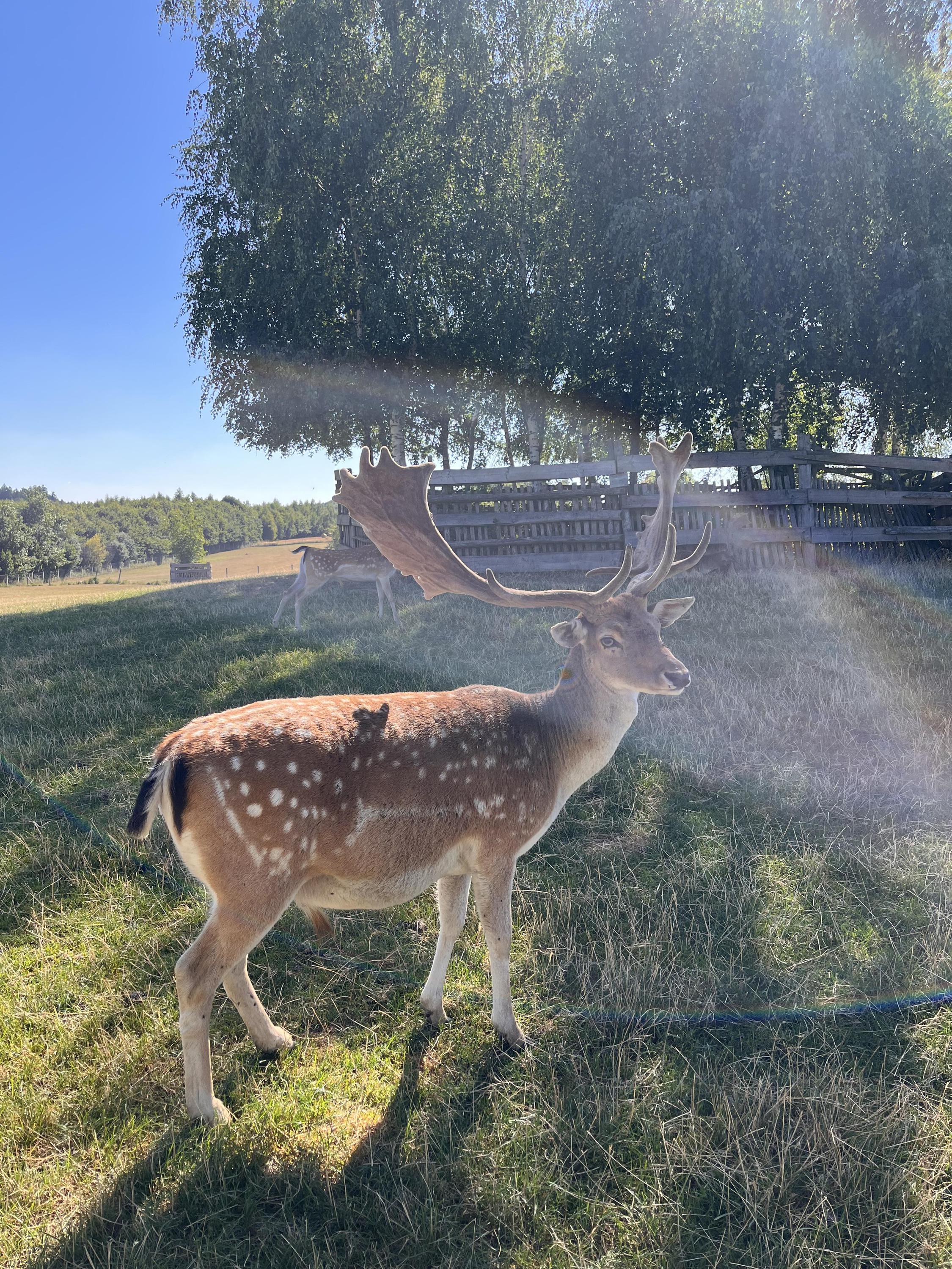Eko farma Zelené údolí foto 4