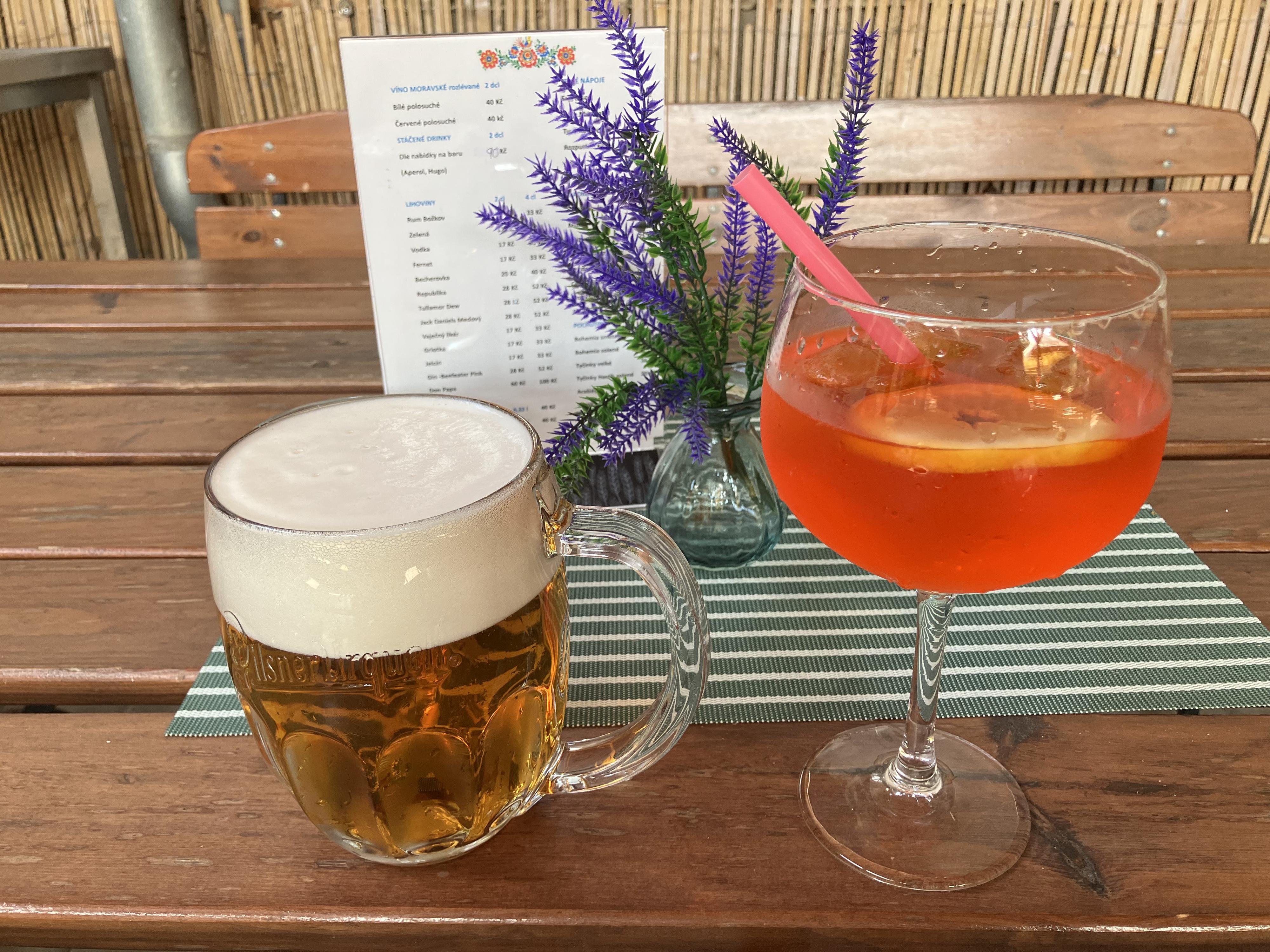 Obecní hospoda Vážany foto 6