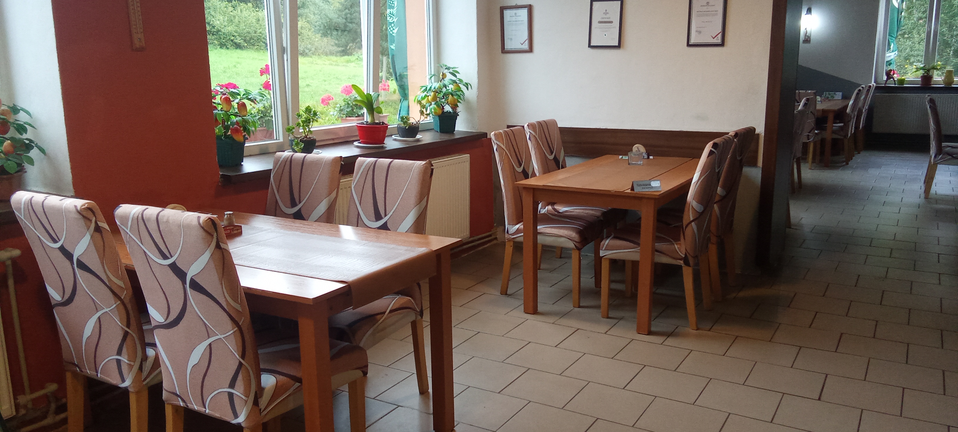 Pizzeria restaurant Niky foto 5