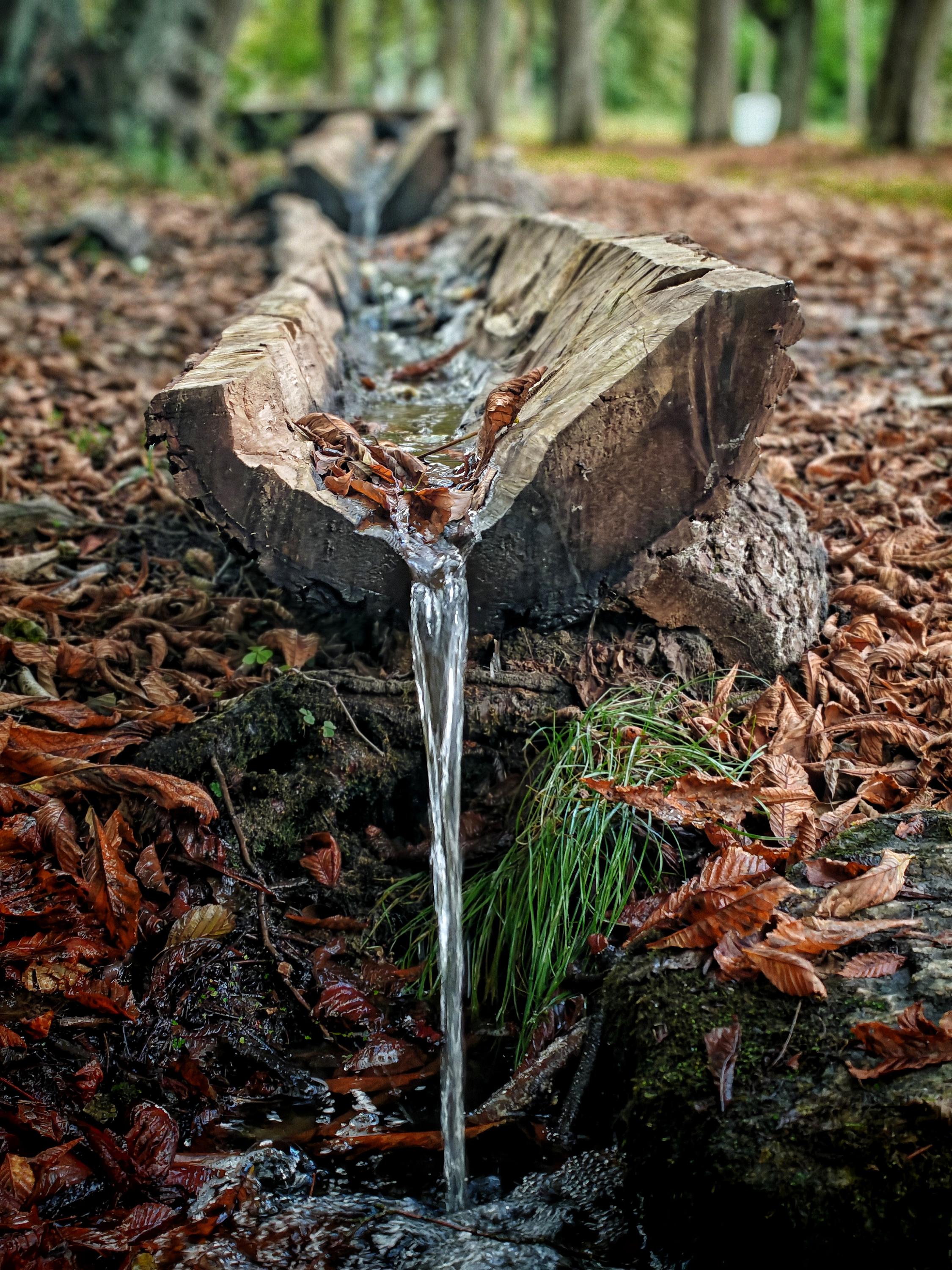 Přírodní park Prelát foto 4