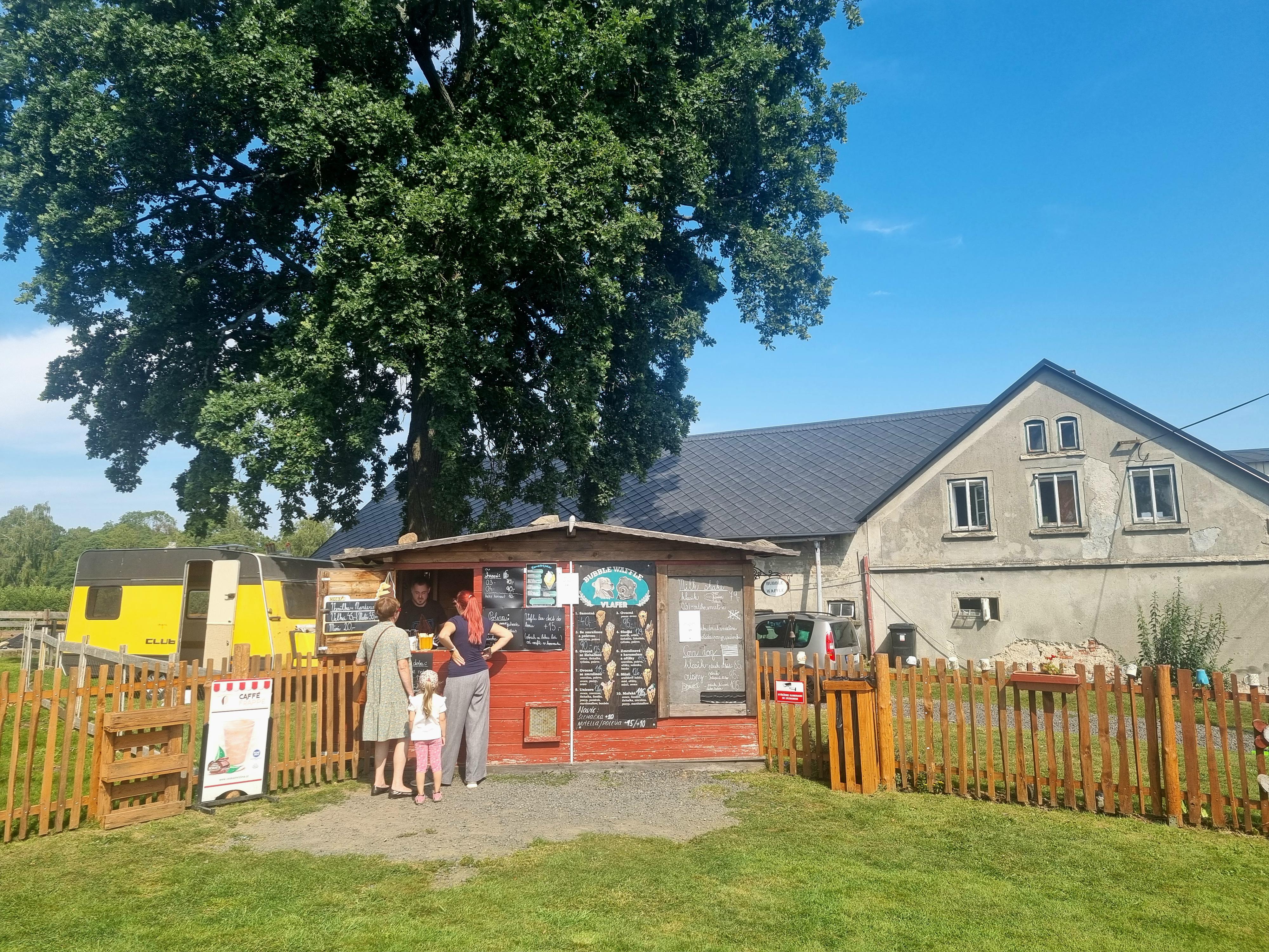 Zmrzlina a bubble vafle Vlafer